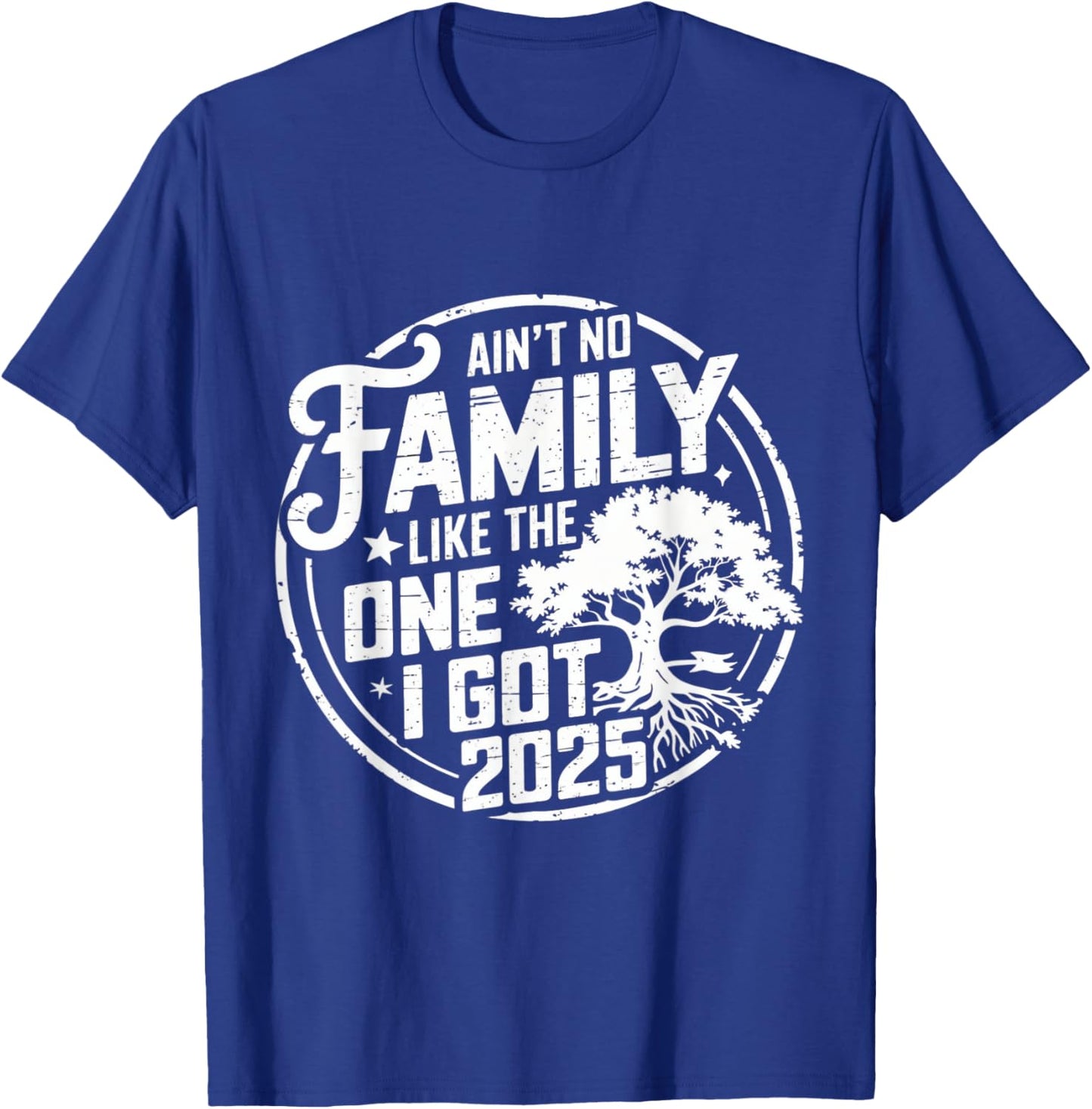 Ain't No Family Like The One I Got Reunion 2025 funny T-Shirt - T-Shirt | Royal