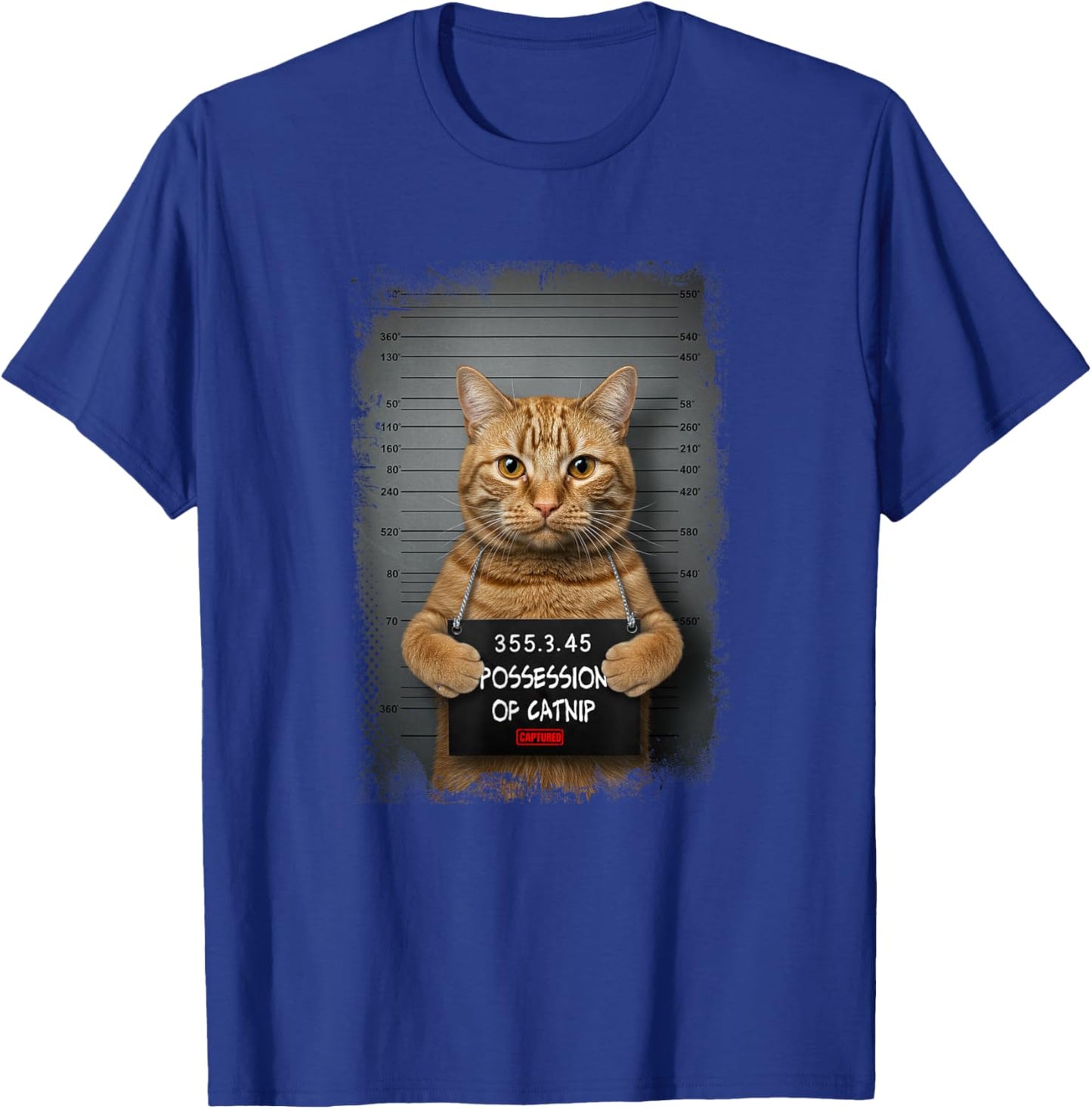 Possession of catnip ORANGE cat MUGSHOT AESTHETIC Men Women T-Shirt - T-Shirt | Royal