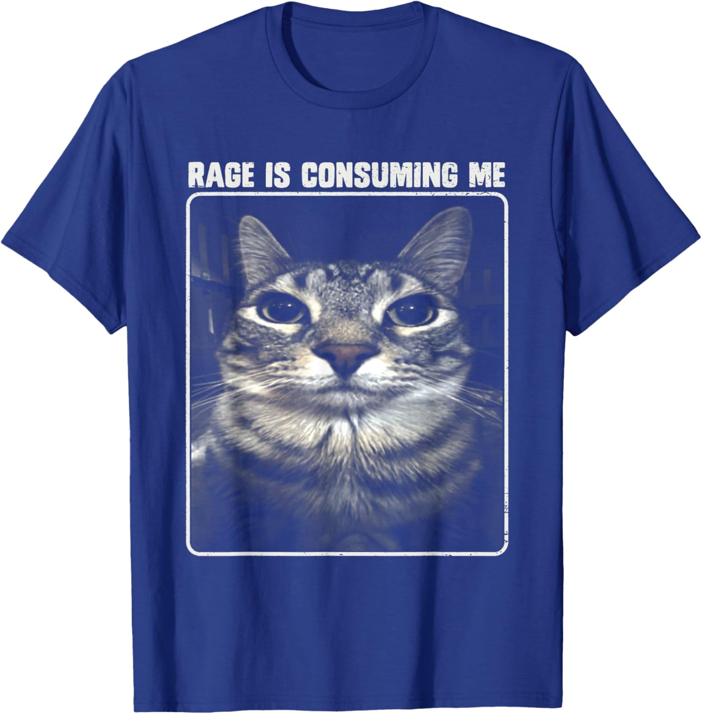 Rage Is Consuming Me Meme Silly Cat Women Girls Kids T-Shirt - T-Shirt | Royal