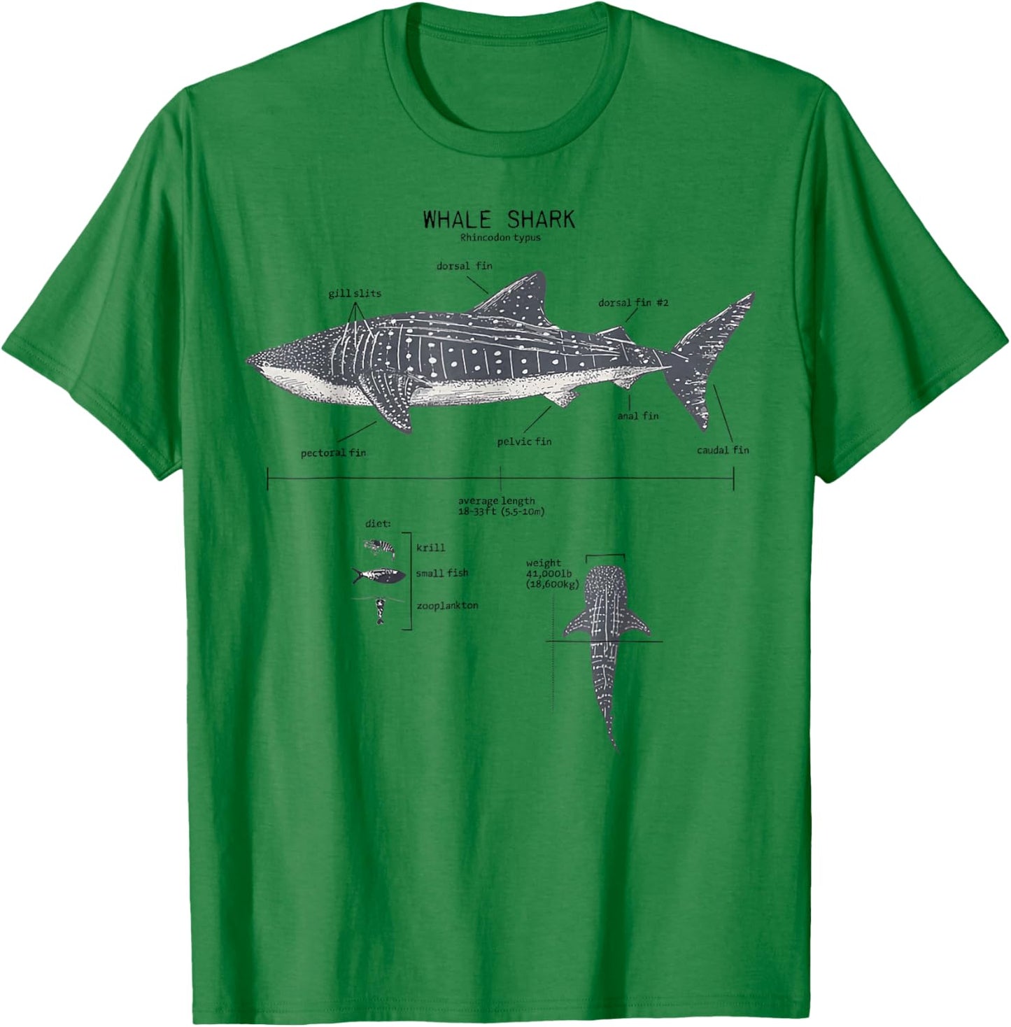 Whale Shark Anatomy Marine Biology T-Shirt - T-Shirt | Irish Green