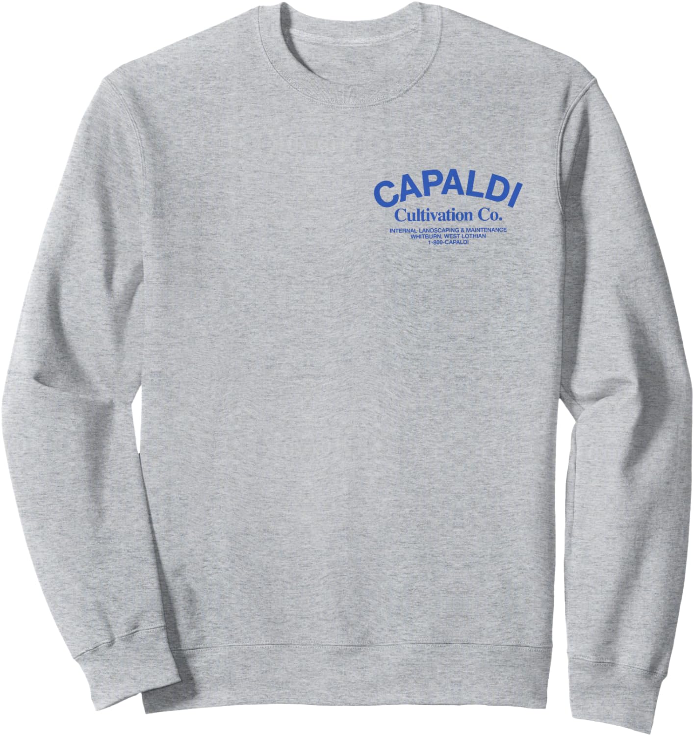Cultivation CO. Sweatshirt - Sweatshirt | Ash