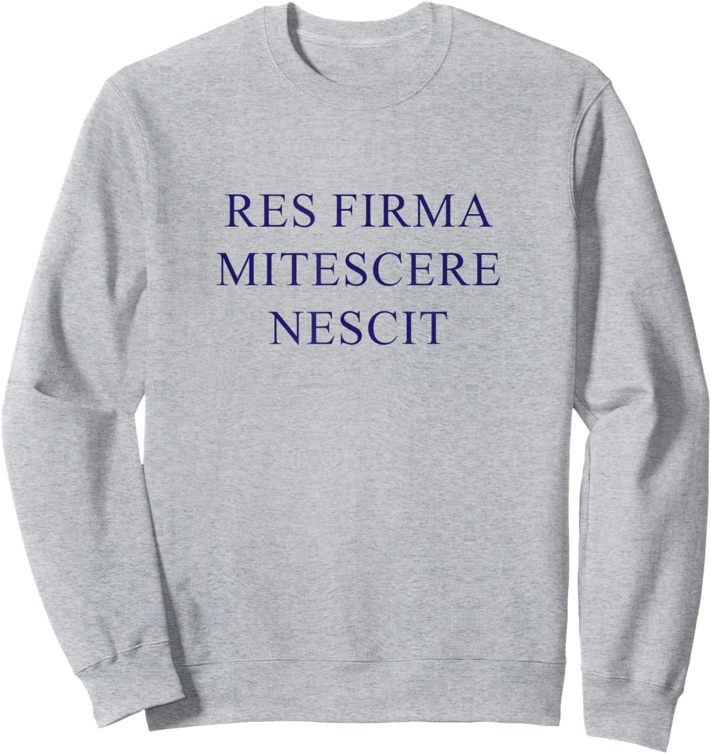 American Flyers "Res Firma Mitescere Nescit" Sweatshirt - Sweatshirt | Ash