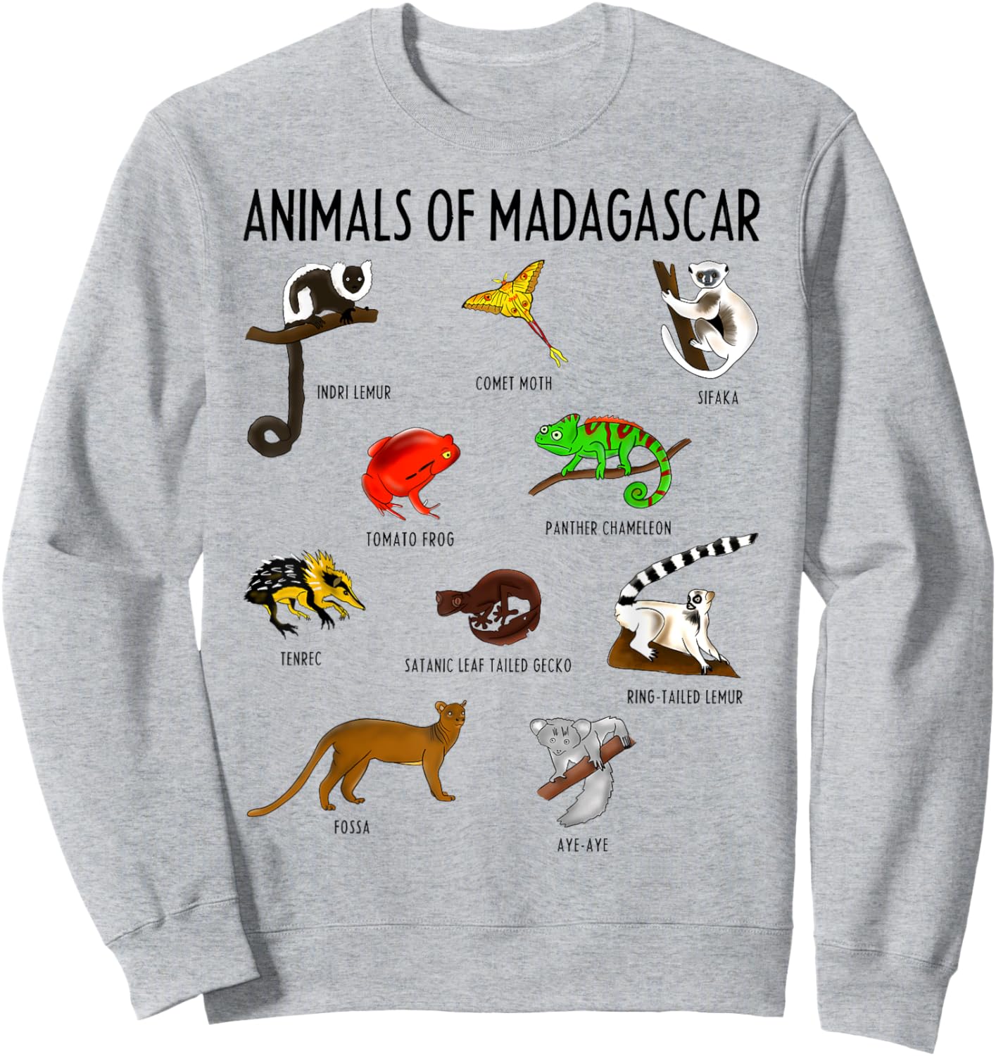 Wild Animals Educational Design for Kids Youth Teen Girl Boy Sweatshirt - Sweatshirt | Ash