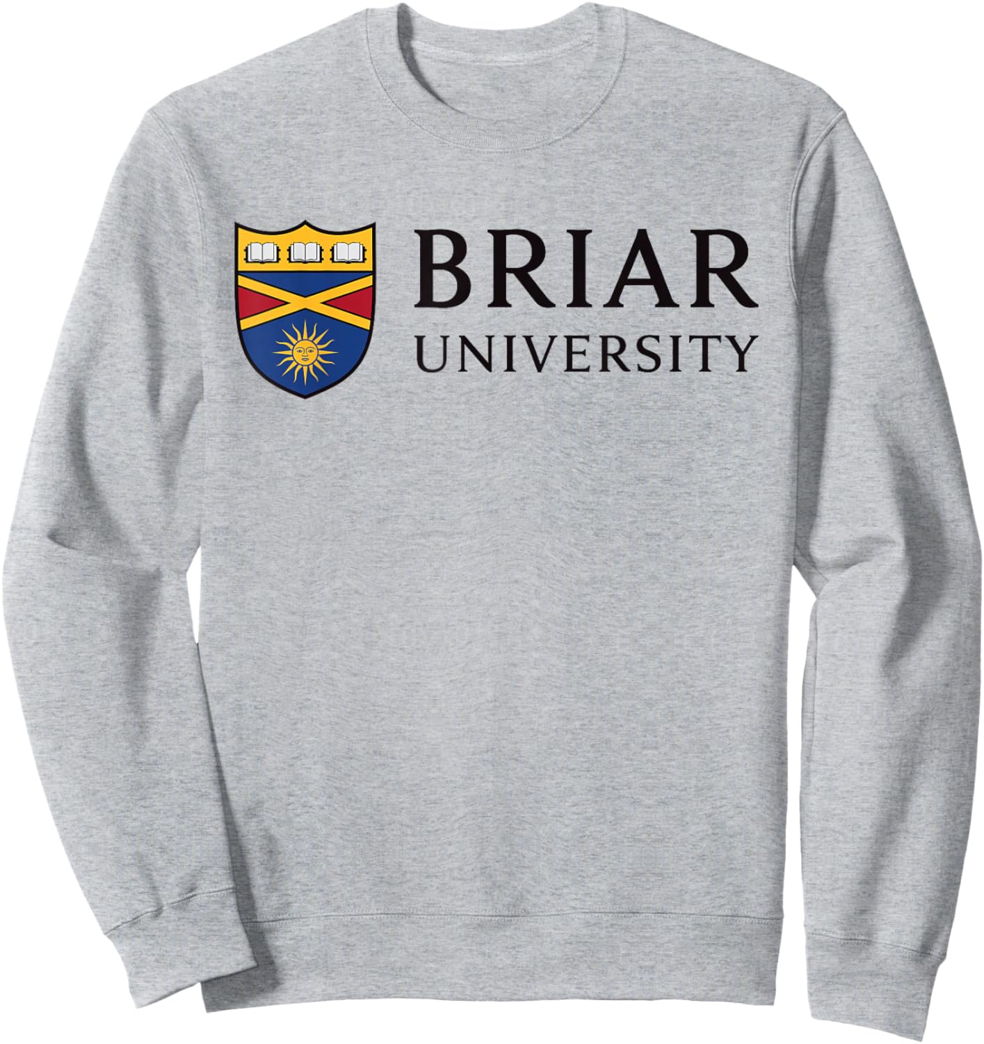 Universität Briar Sweatshirt - Sweatshirt | Ash