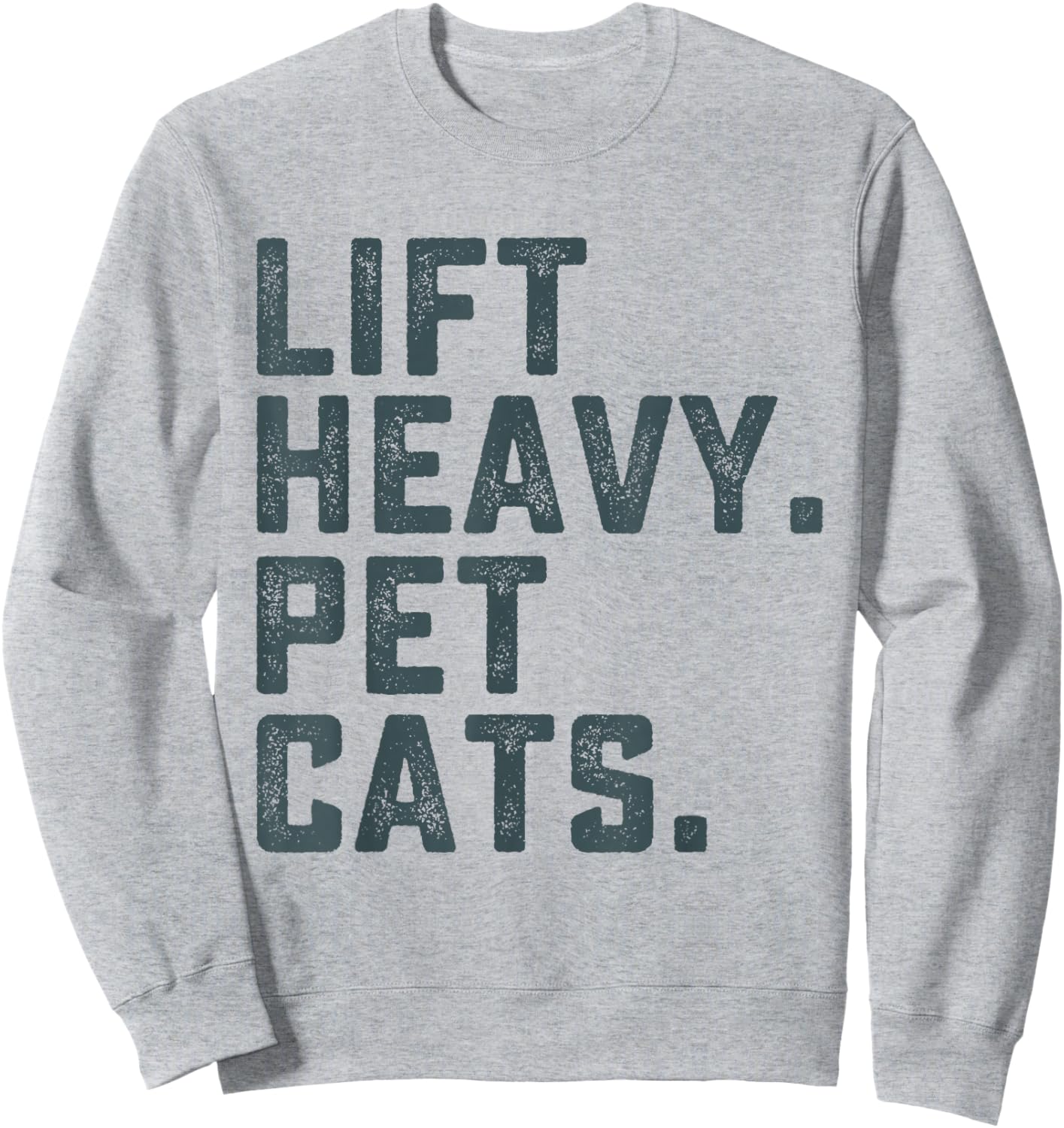 Lift Heavy Pet Cats Funny Workout Fitness Gym Weightlifting Sweatshirt - Sweatshirt | Ash