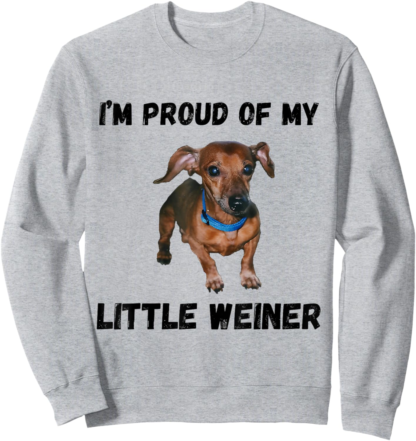 I'm Proud Of My Little Weiner Funny Dachshund Dog Lover Sweatshirt - Sweatshirt | Ash