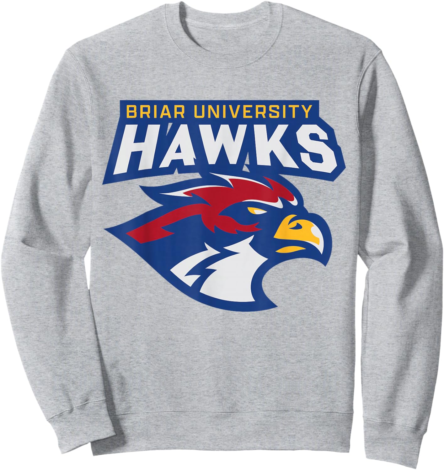 Briar University Hawks Sweatshirt - Sweatshirt | Ash