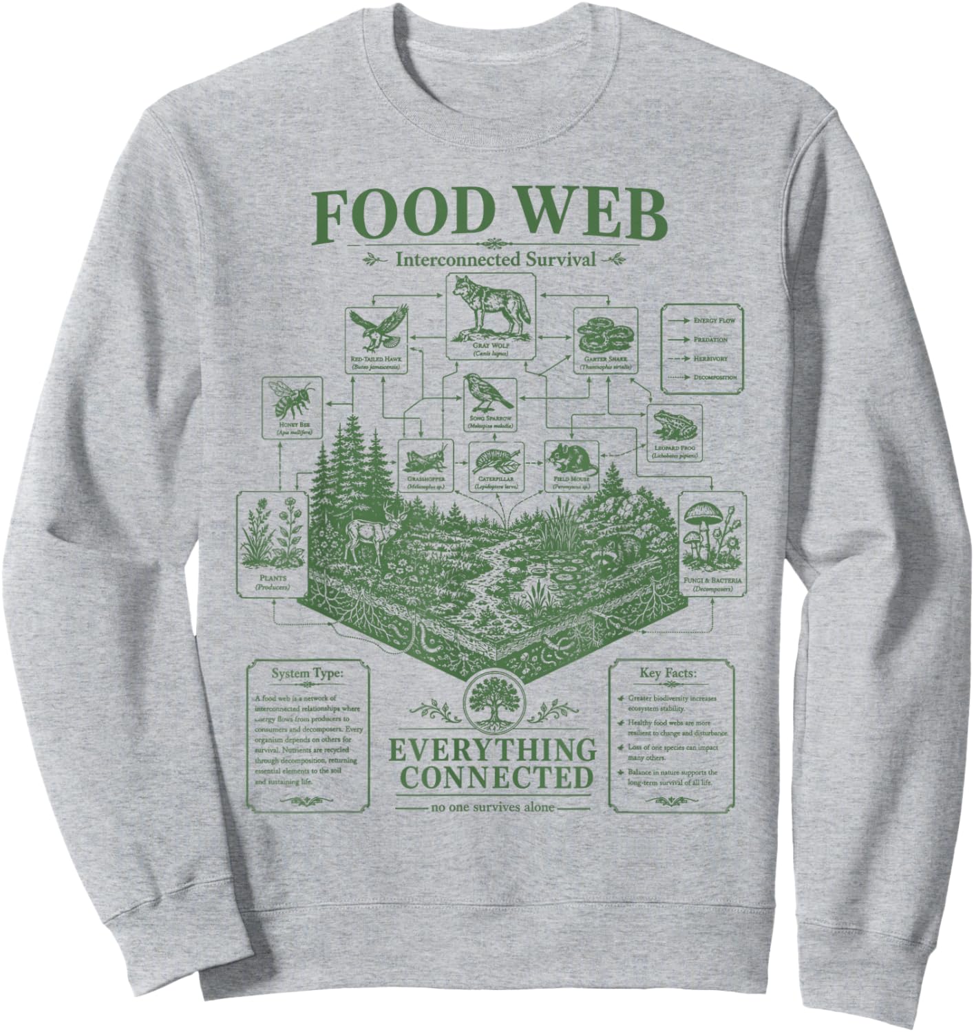 Vintage Science Food Web Diagram Forest Ecosystem Energy Sweatshirt - Sweatshirt | Ash