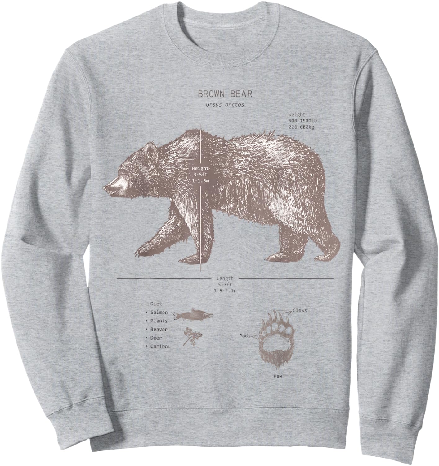 Brown Bear Anatomy Sweatshirt - Sweatshirt | Ash
