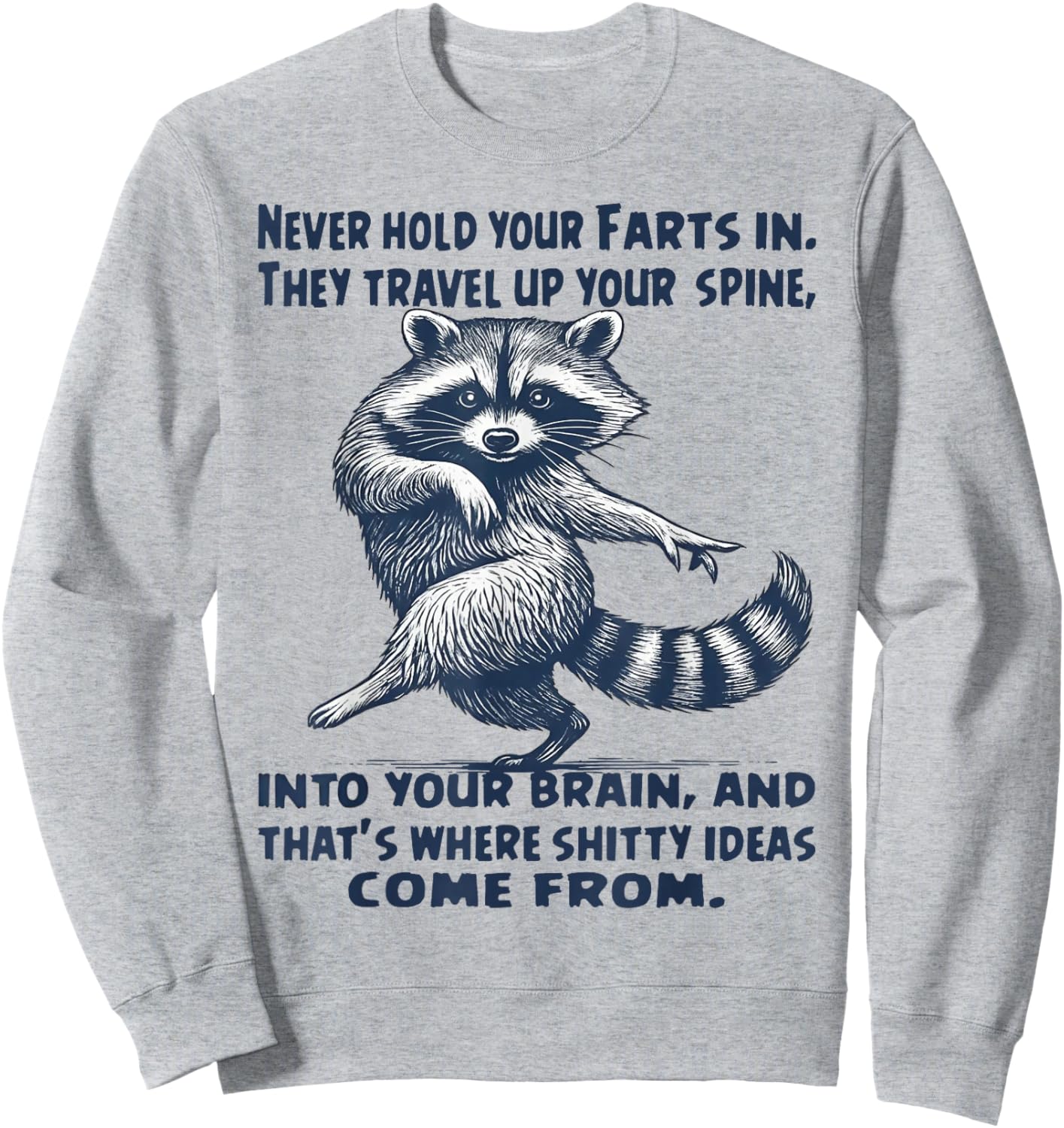 Raccoon Never Hold Your Farts in They Travel Up Your Spine Sweatshirt - Sweatshirt | Ash