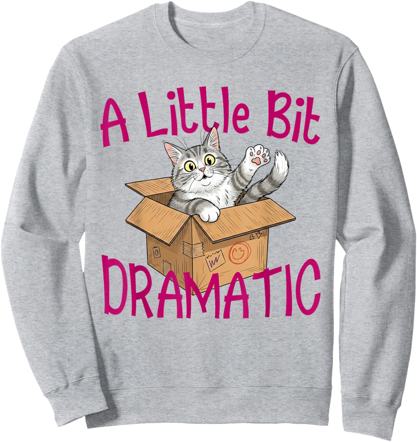 A Little Bit Dramatic Funny Sassy Quote Y2K Retro Sweatshirt - Sweatshirt | Ash