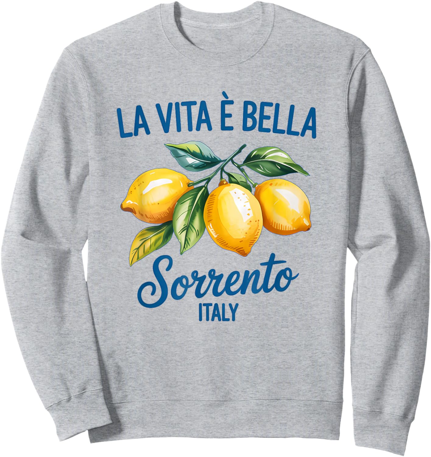 La Vita Bella Floral Blossom Italia Zitronenzweig Sweatshirt - Sweatshirt | Ash