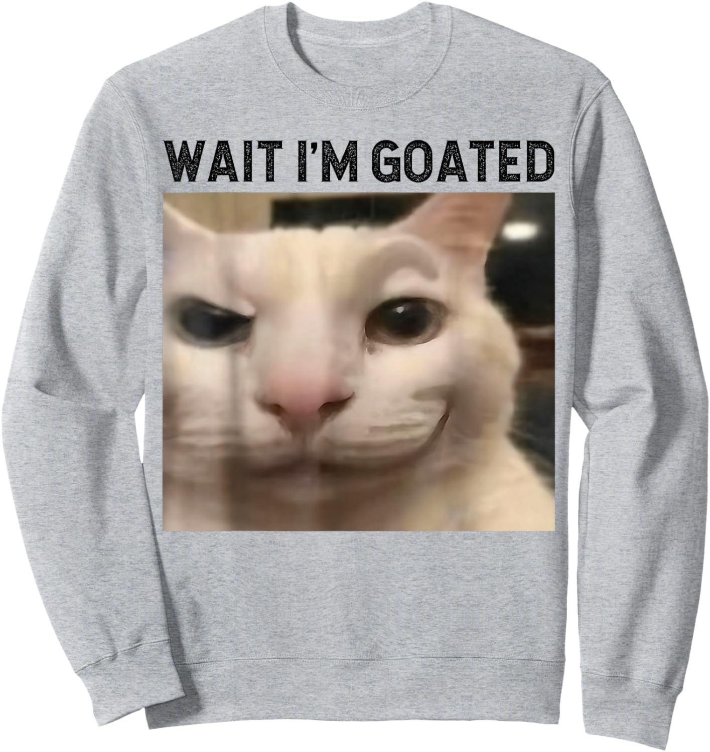 Wait I'm Goated Cat Funny Silly Cat Staring Cat Funny Meme Sweatshirt - Sweatshirt | Ash