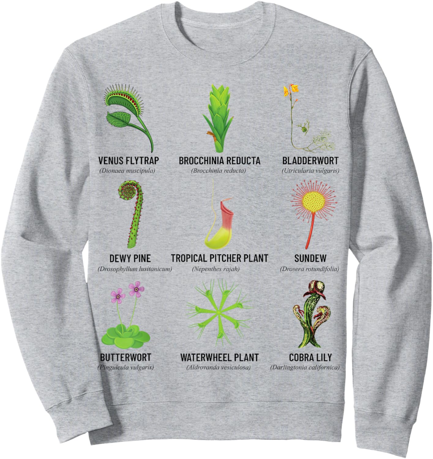 Carnivorous Plants Chart Venus Flytrap, Pitcher Plant Sweatshirt - Sweatshirt | Ash