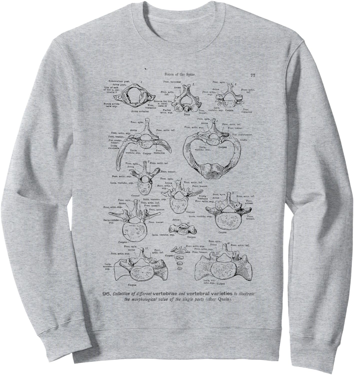 Human Spine Anatomy vintage bones of the spine for Physician Sweatshirt - Sweatshirt | Ash