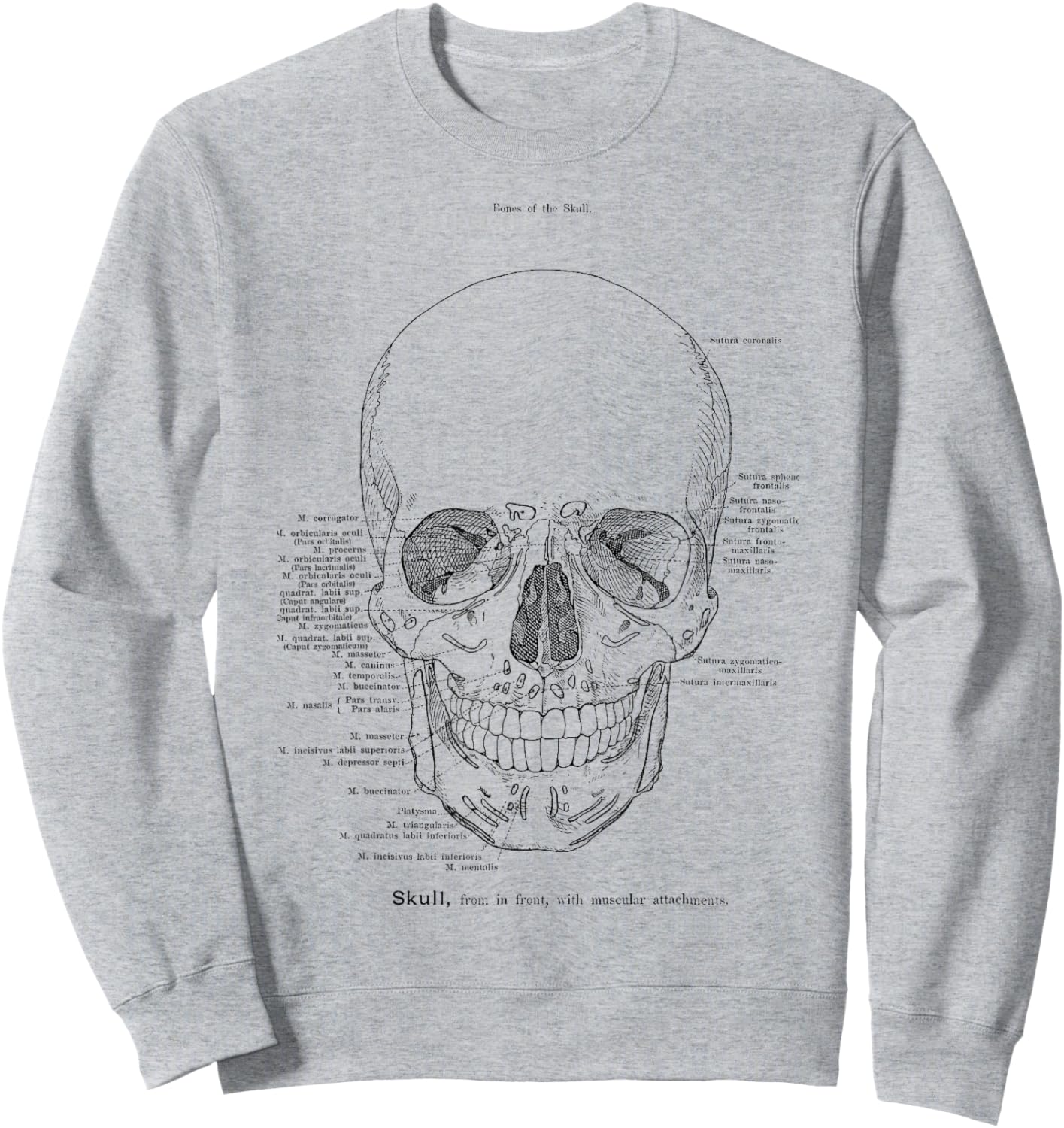 Skull Anatomy Model The Human Skull Anatomical Chart Sweatshirt - Sweatshirt | Ash