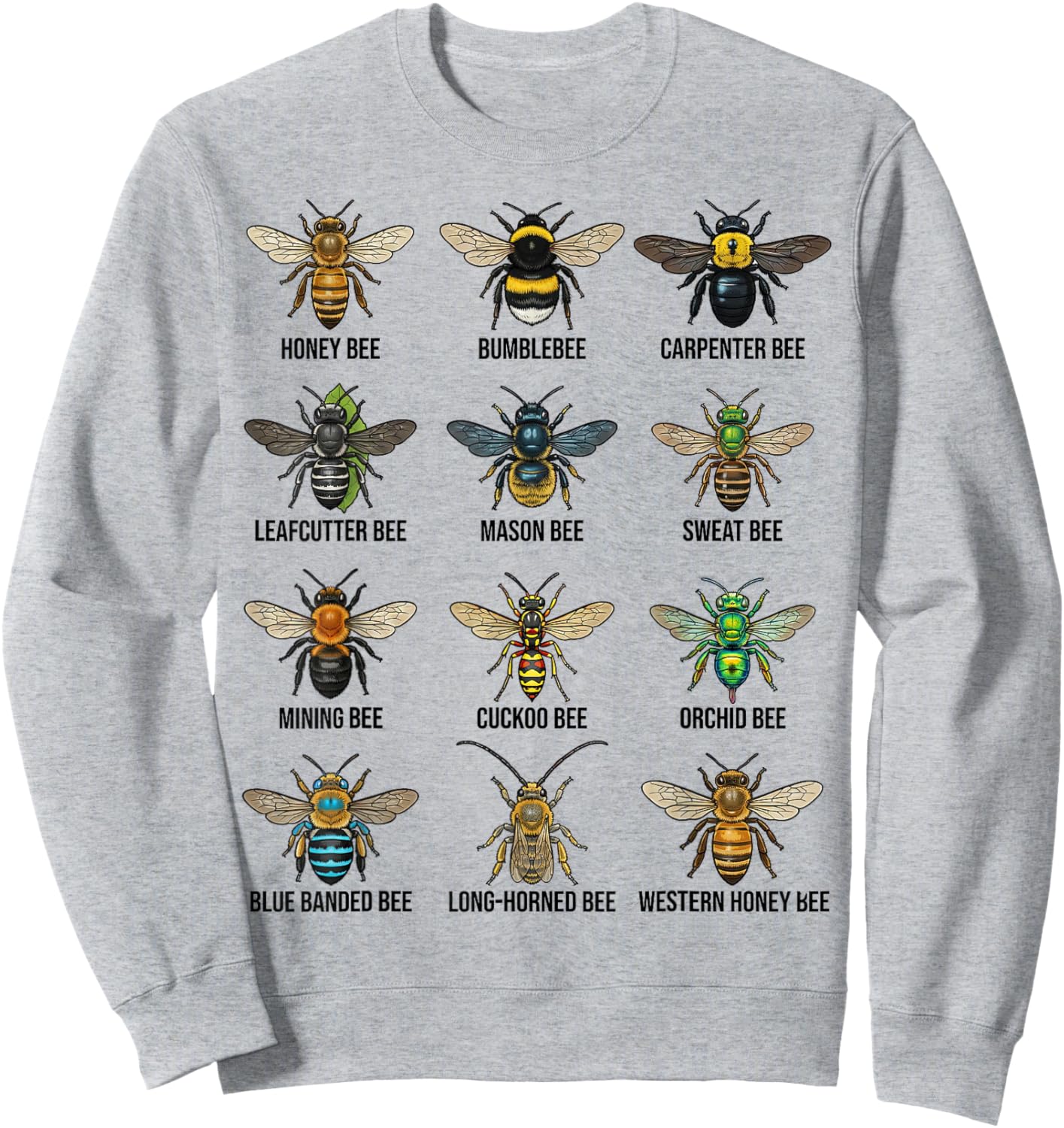 Types of Bees, Bee Species Chart, Entomology Science Sweatshirt - Sweatshirt | Ash
