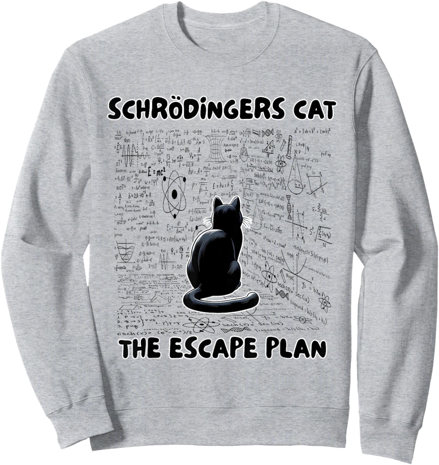 Quantum Physics Teacher Schrödinger's Cat The Escape Plan Sweatshirt - Sweatshirt | Ash