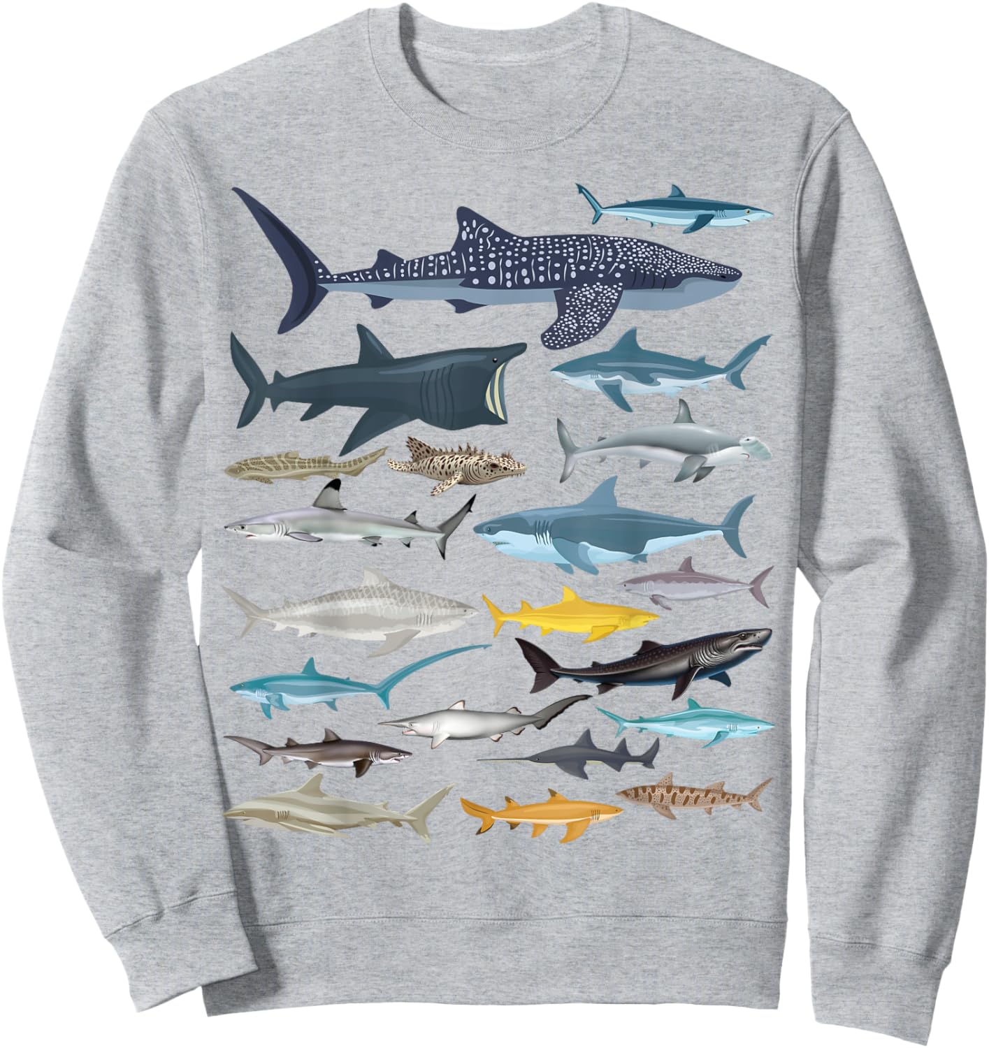 Types of Sharks Shark Species Identification Ocean Lovers Sweatshirt - Sweatshirt | Ash