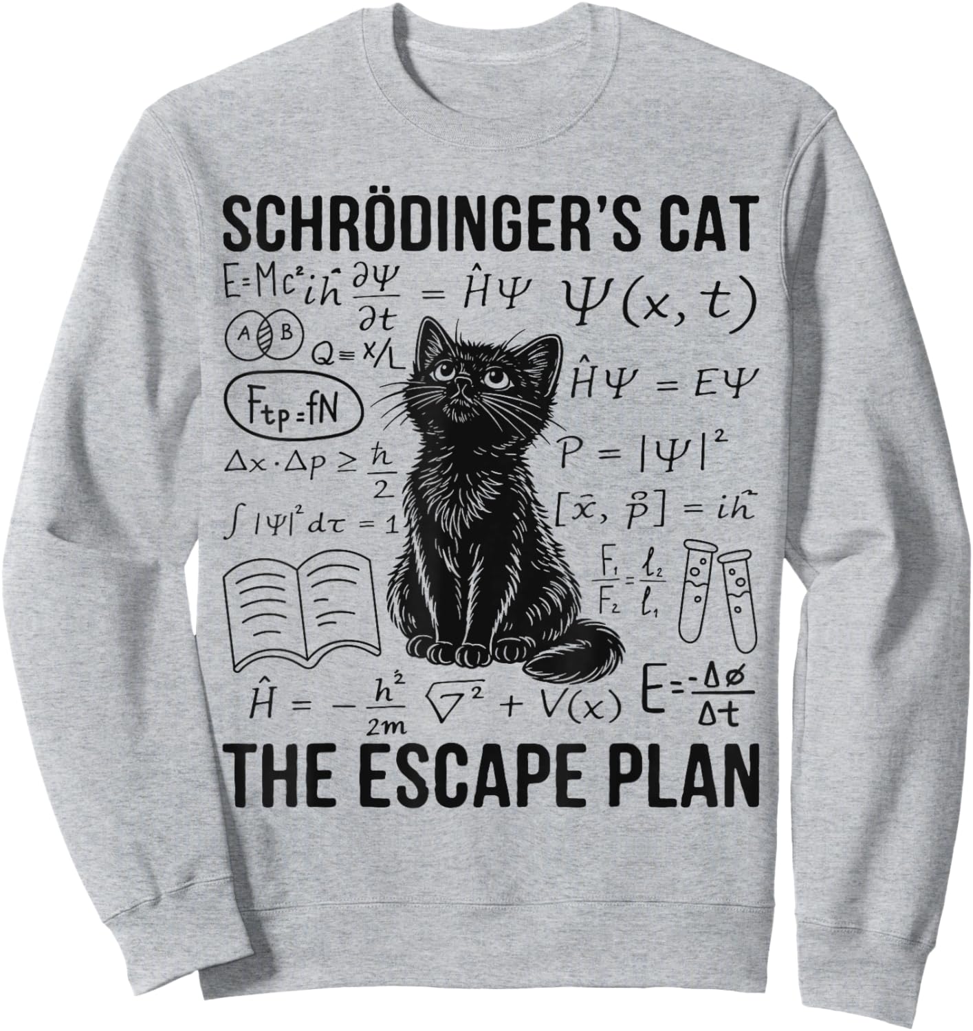 Schrodinger Cat Escape Plan Quantum Mechanics Physics Sweatshirt - Sweatshirt | Ash