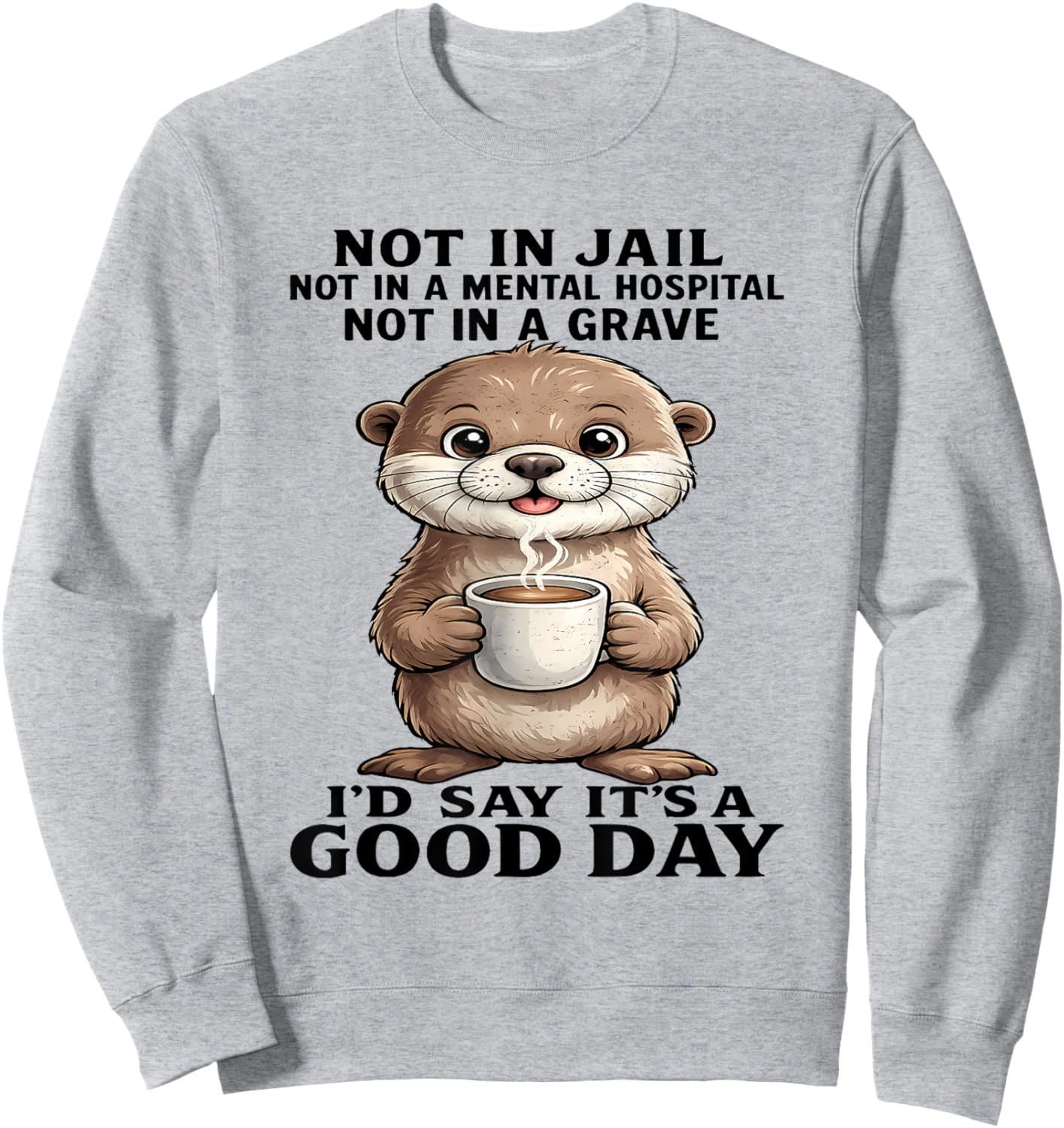 Otter Not in Jail Not in A Mental Hospital Not in A Grave Sweatshirt - Sweatshirt | Ash