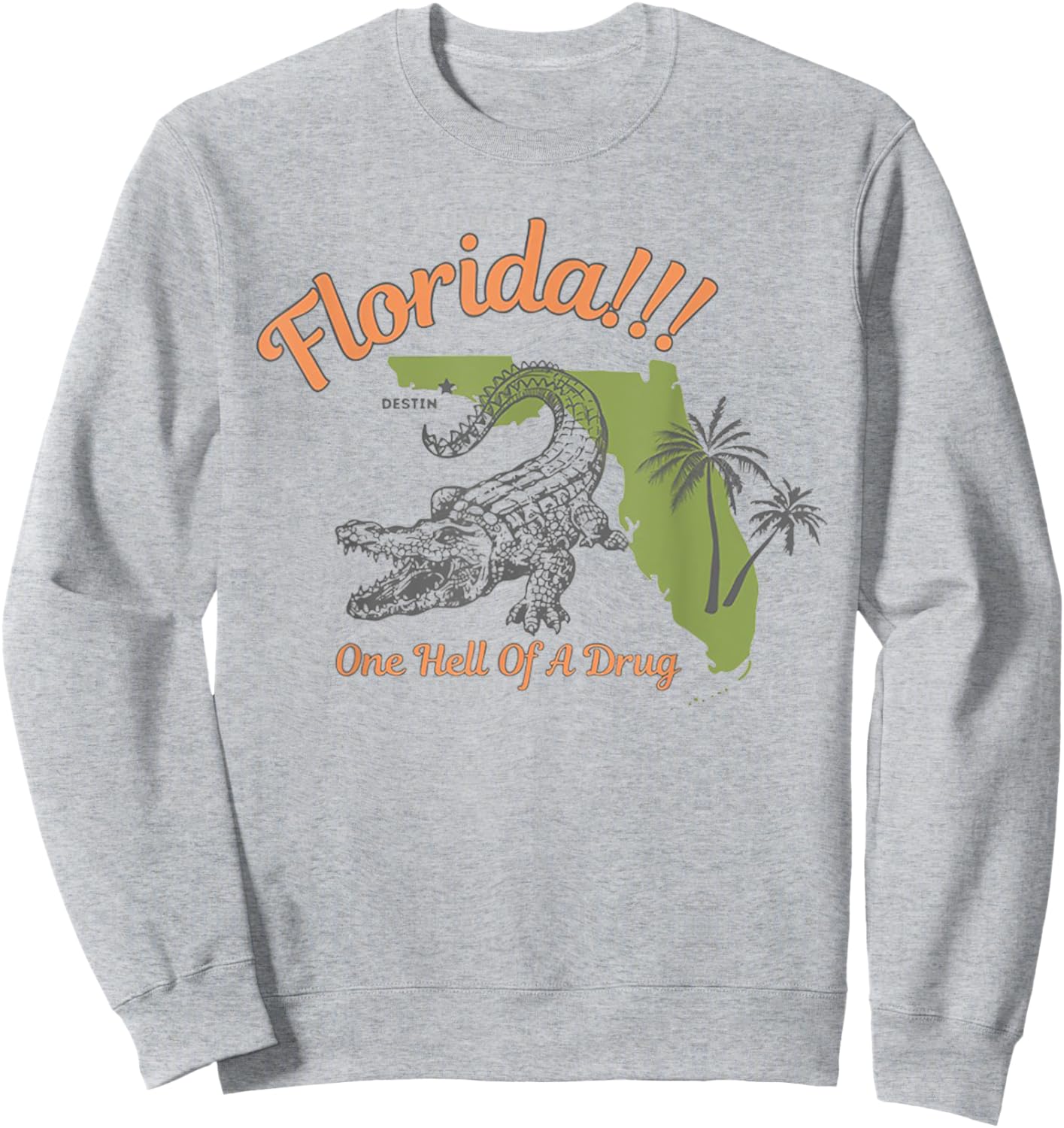 FLorida One Hell Of A Drug Sweatshirt - Sweatshirt | Ash