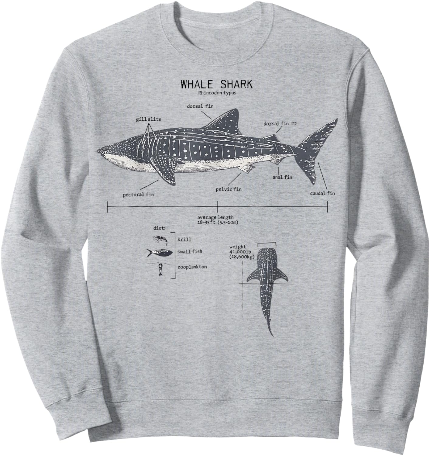 Whale Shark Anatomy Marine Biology Sweatshirt - Sweatshirt | Ash
