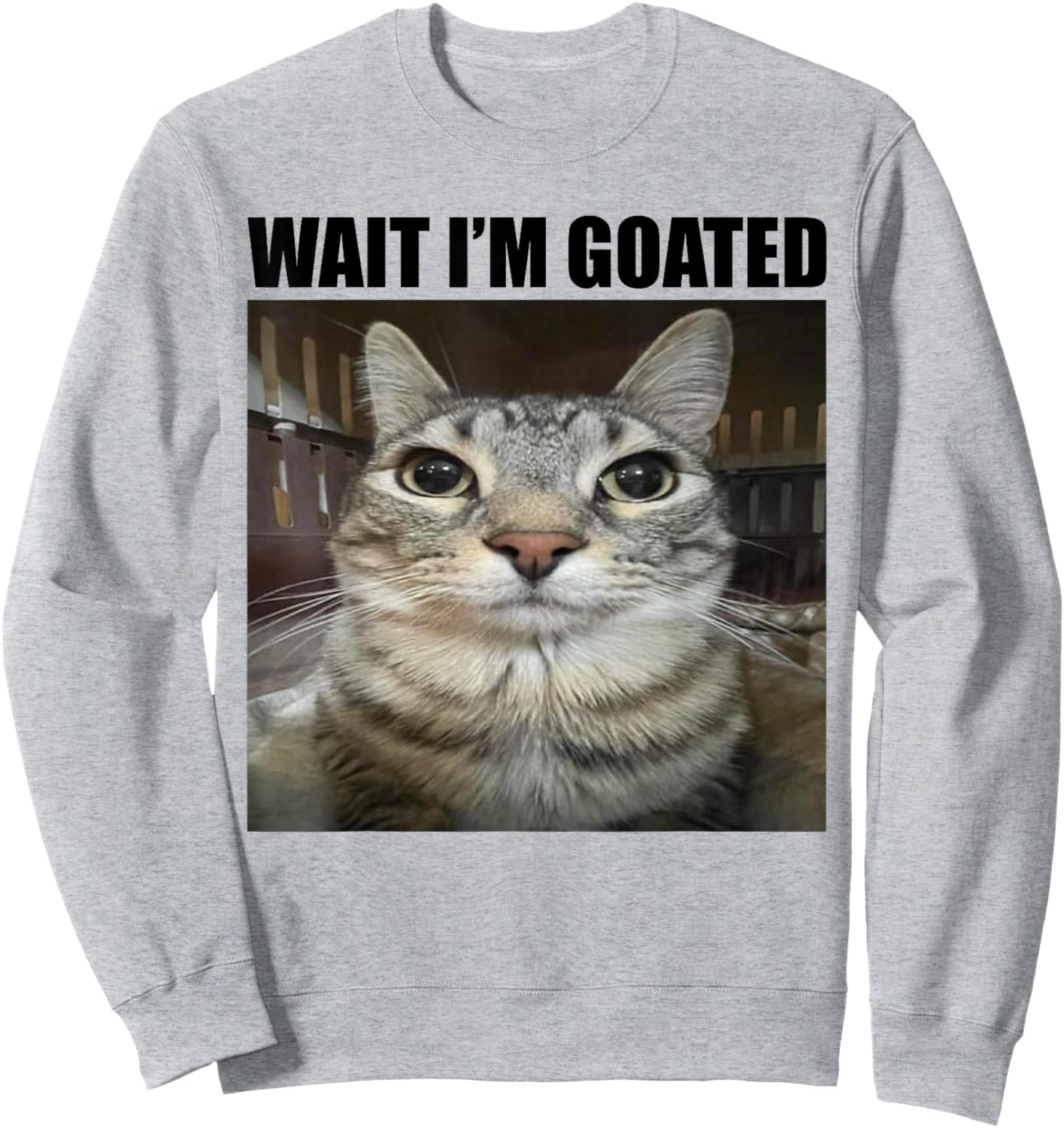 Wait I'm Goated Funny Sarcatic Cat Meme Retro Vintage Humour Sweatshirt - Sweatshirt | Ash