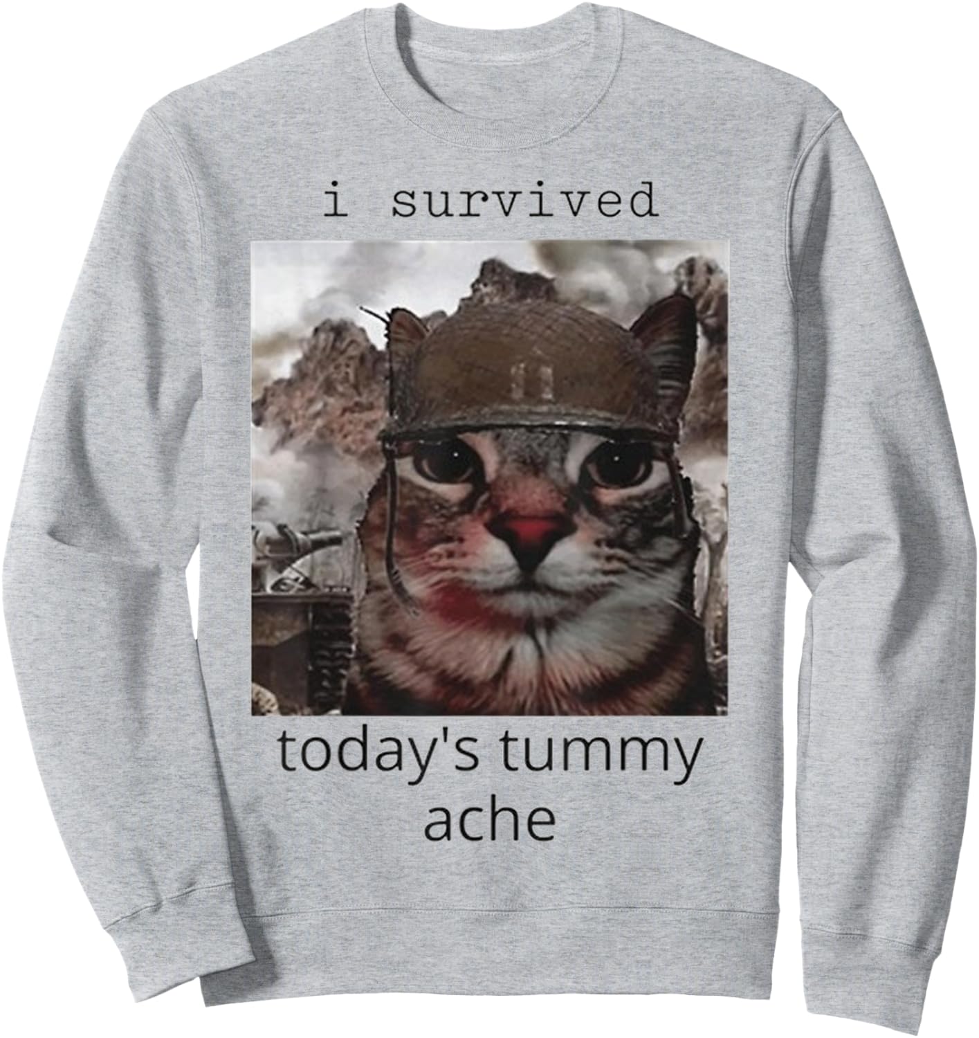 I survived today's tummy ache Cat Sweatshirt - Sweatshirt | Ash