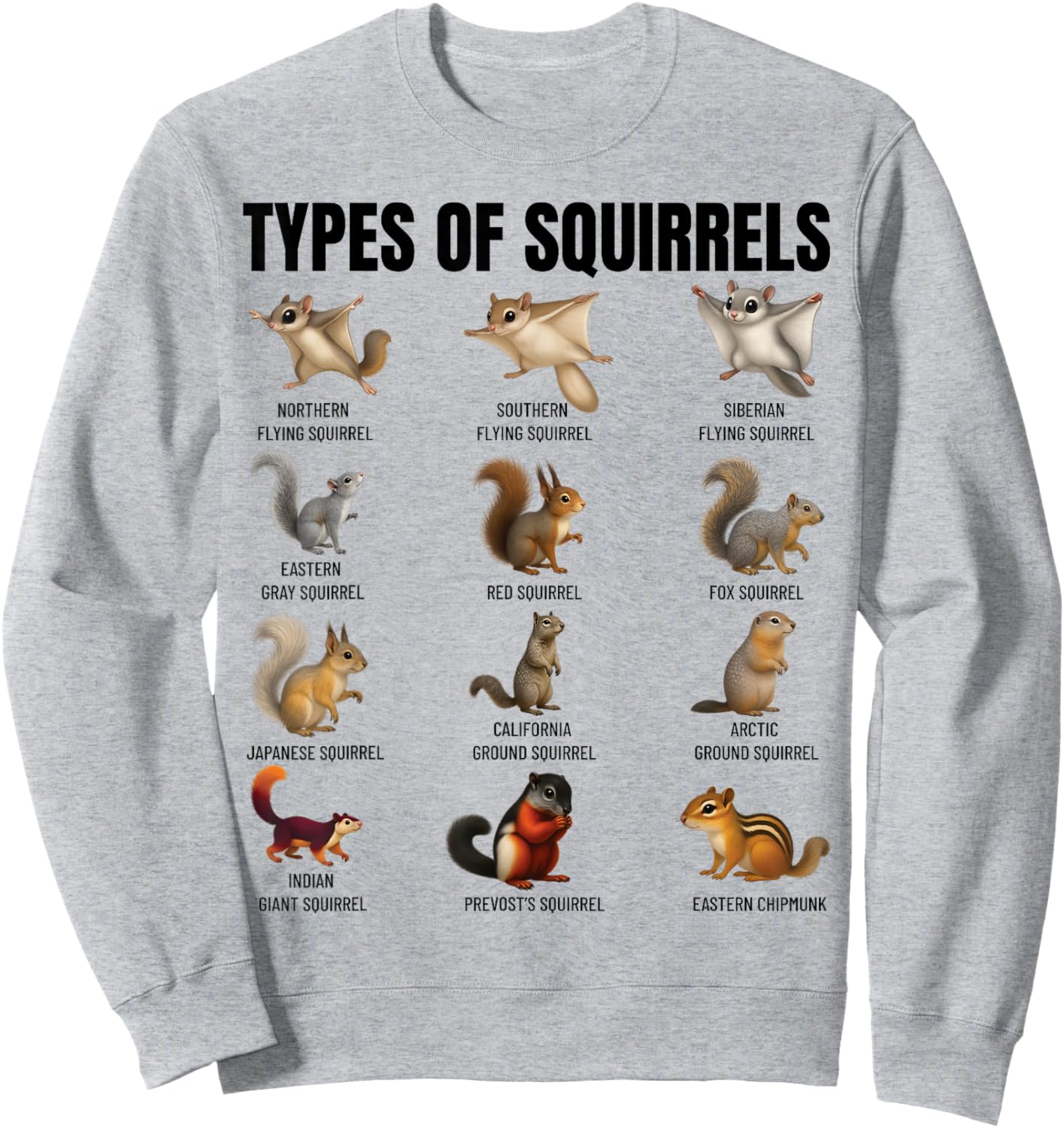 Types of Squirrels Identification Chart Species of Squirrels Sweatshirt - Sweatshirt | Ash
