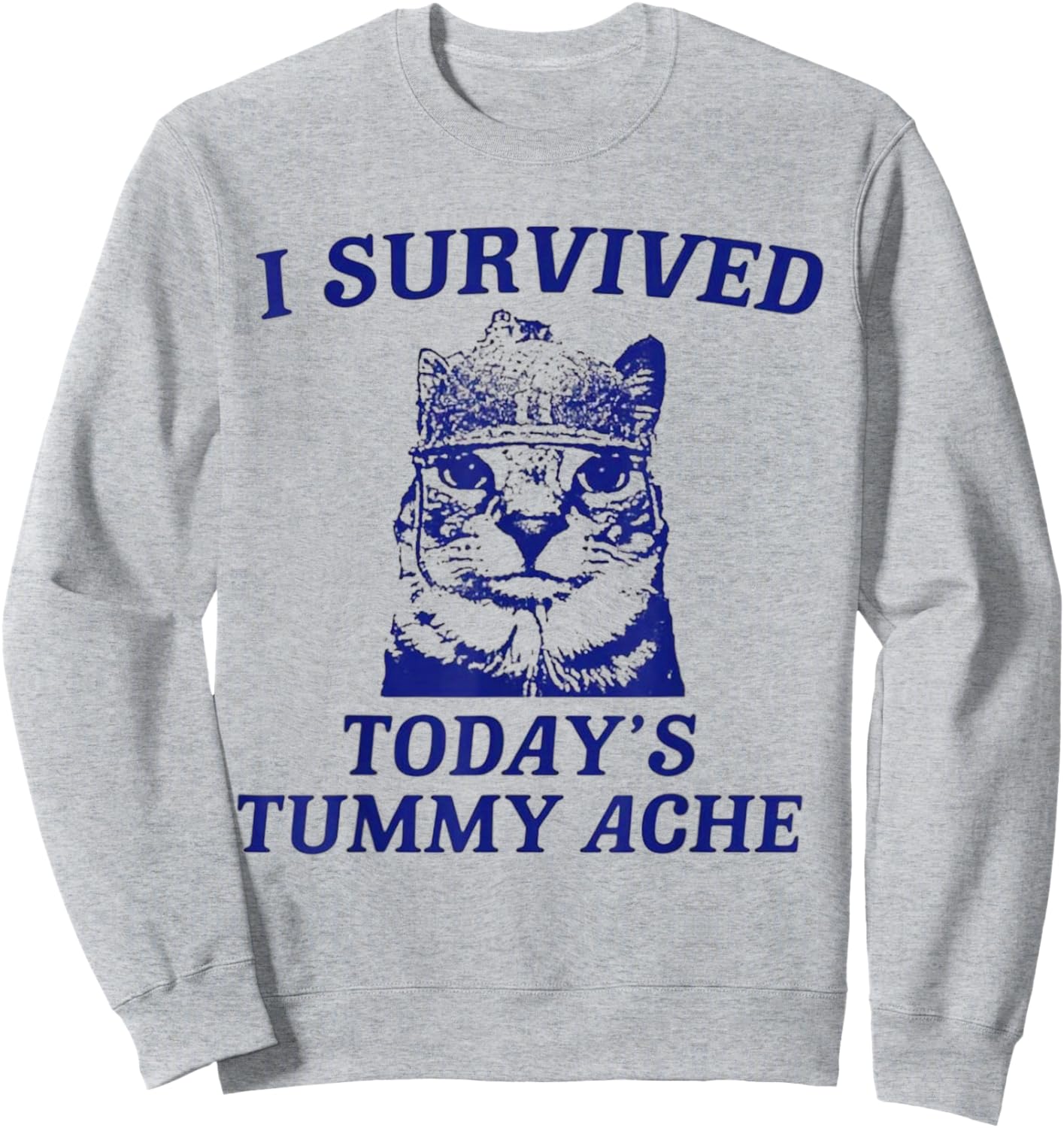 I survived today's tummy ache Cat Sweatshirt - Sweatshirt | Ash