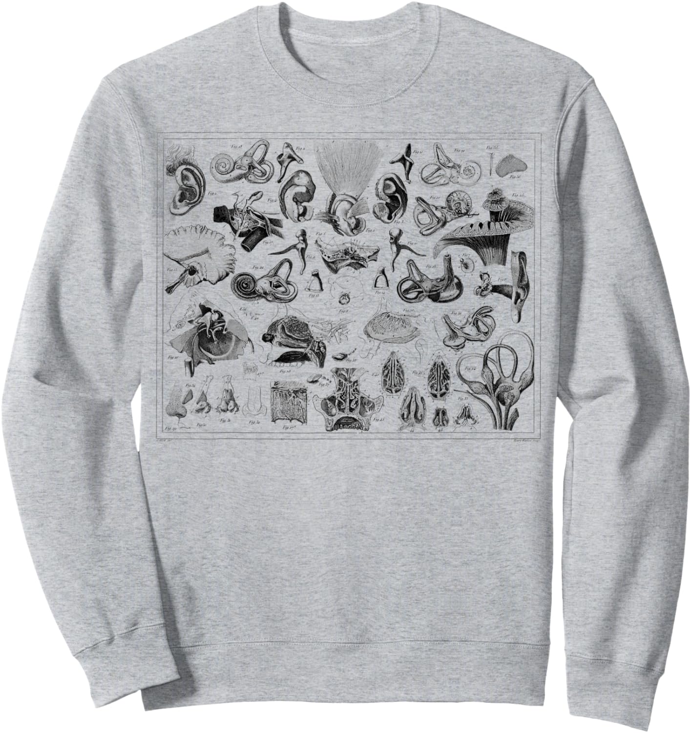 Inner Ear Anatomy Audiology Audiologist Vestibular Therapist Sweatshirt - Sweatshirt | Ash