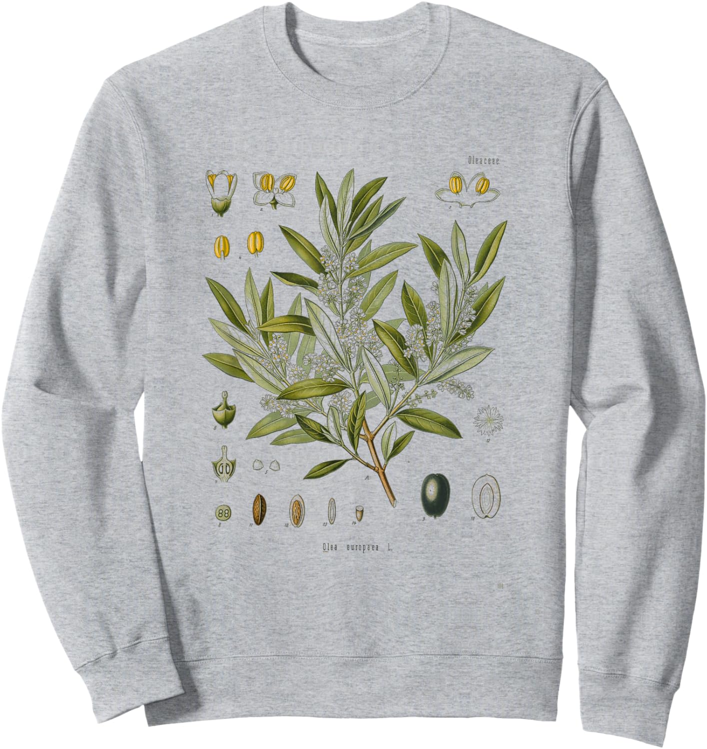 Vintage Botanical Garden Botany Olive tree Sweatshirt - Sweatshirt | Ash