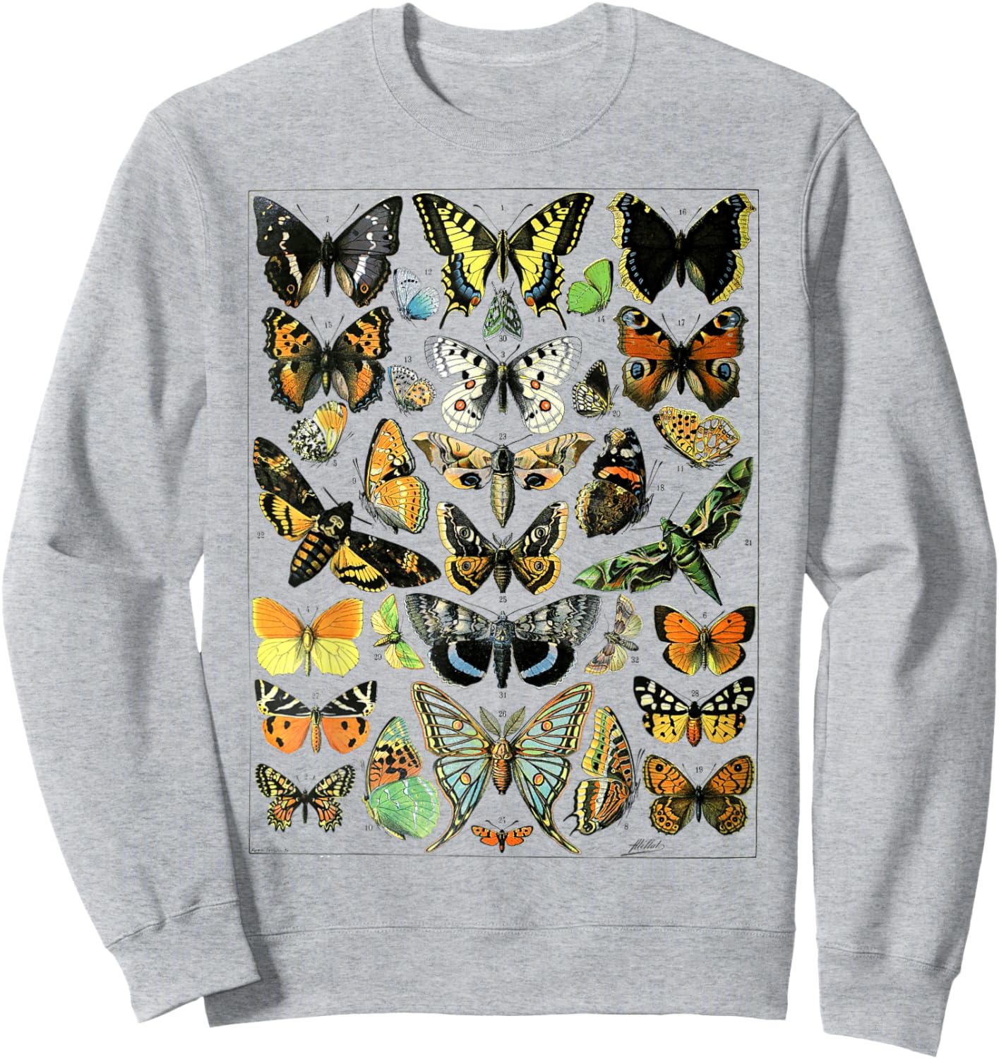 Butterflies Butterfly Collection Vintage Entomology Sweatshirt - Sweatshirt | Ash