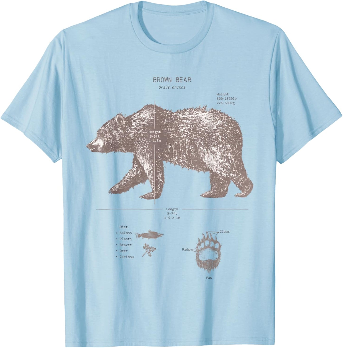 Brown Bear Anatomy T-Shirt - T-Shirt | Light Blue