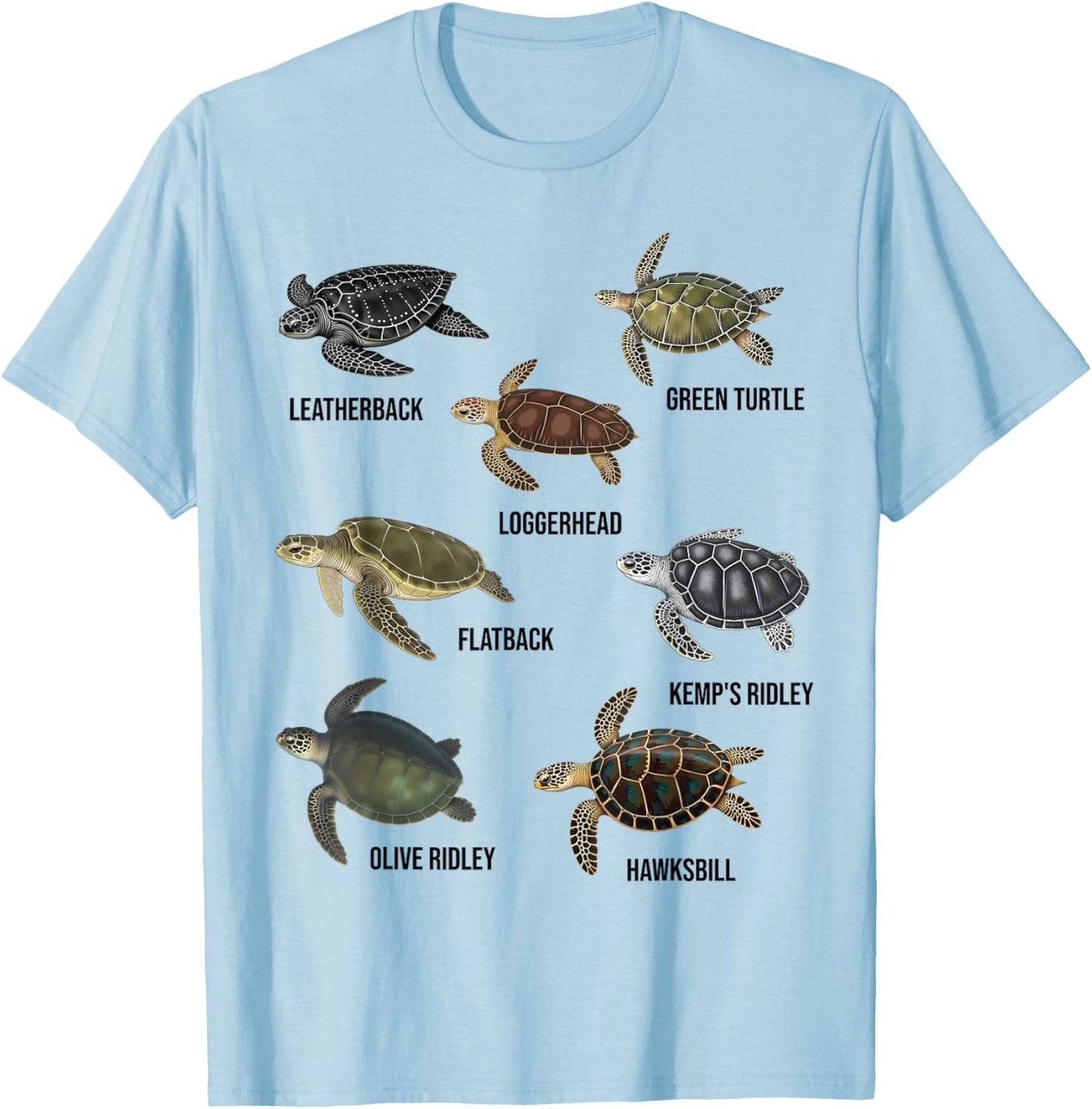 Types of Sea Turtles Marine Turtle Species Educational Chart T-Shirt - T-Shirt | Light Blue