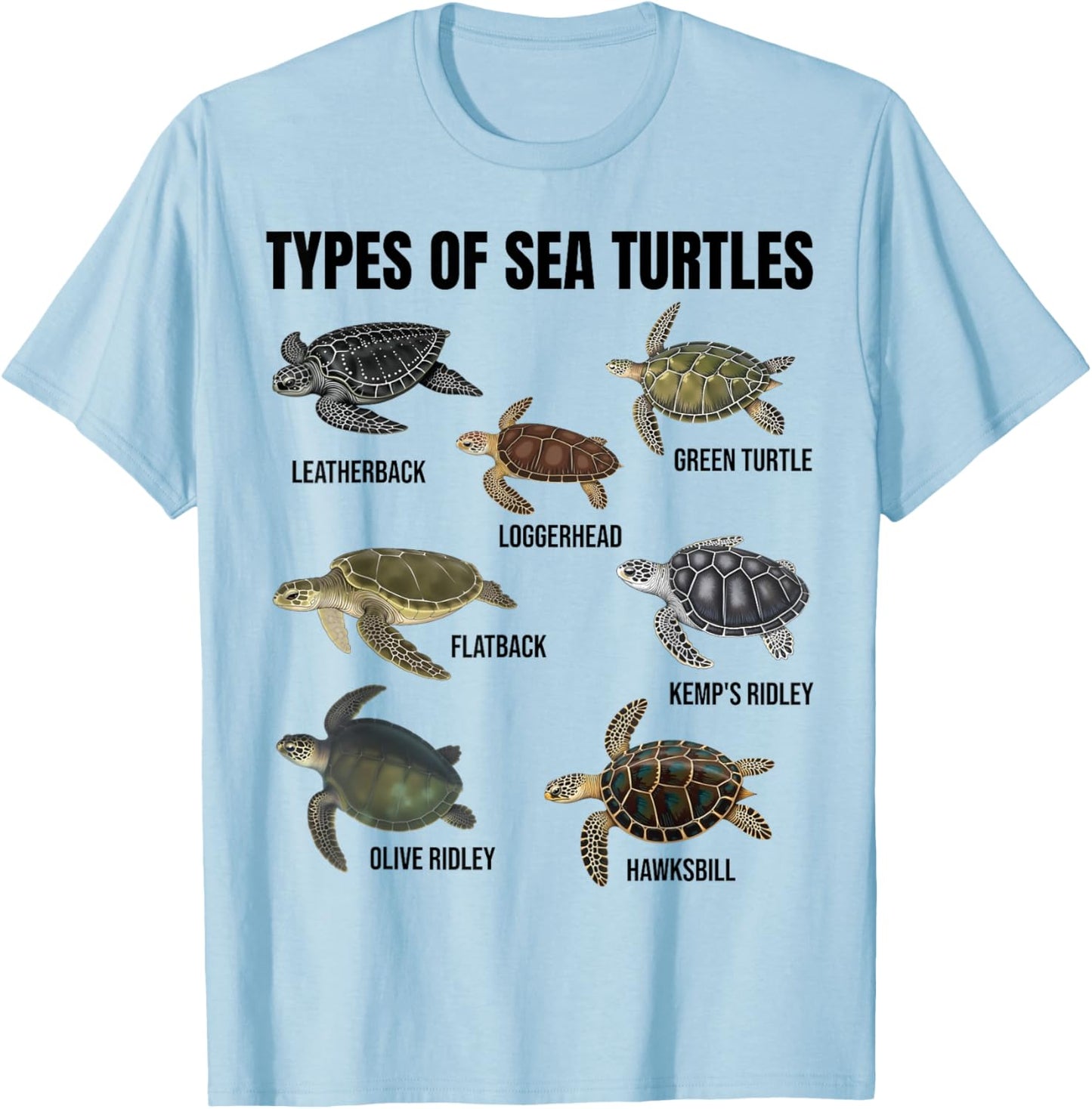 Types of Sea Turtles Marine Turtle Species Educational Chart T-Shirt - T-Shirt | Light Blue