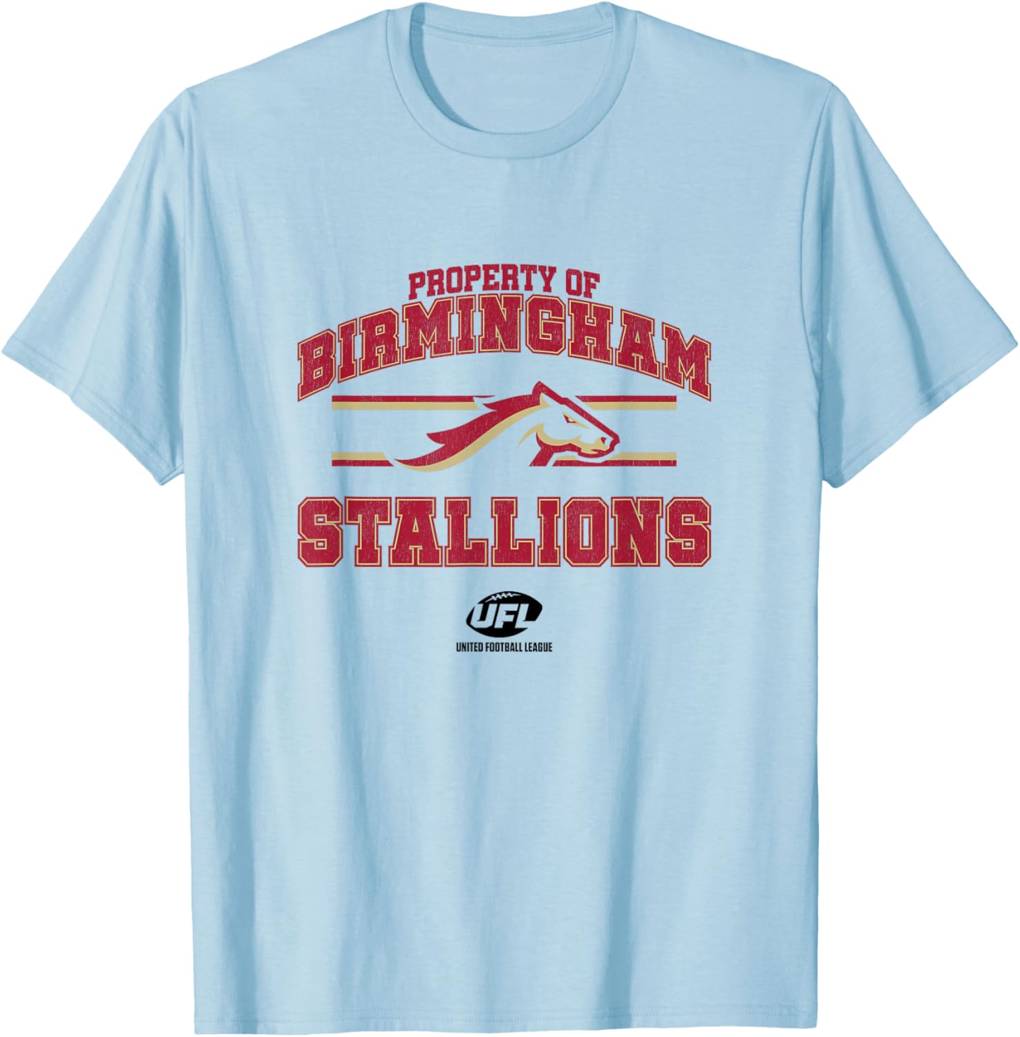 Property of Birmingham Stallions - Birmingham T-Shirt - T-Shirt | Light Blue