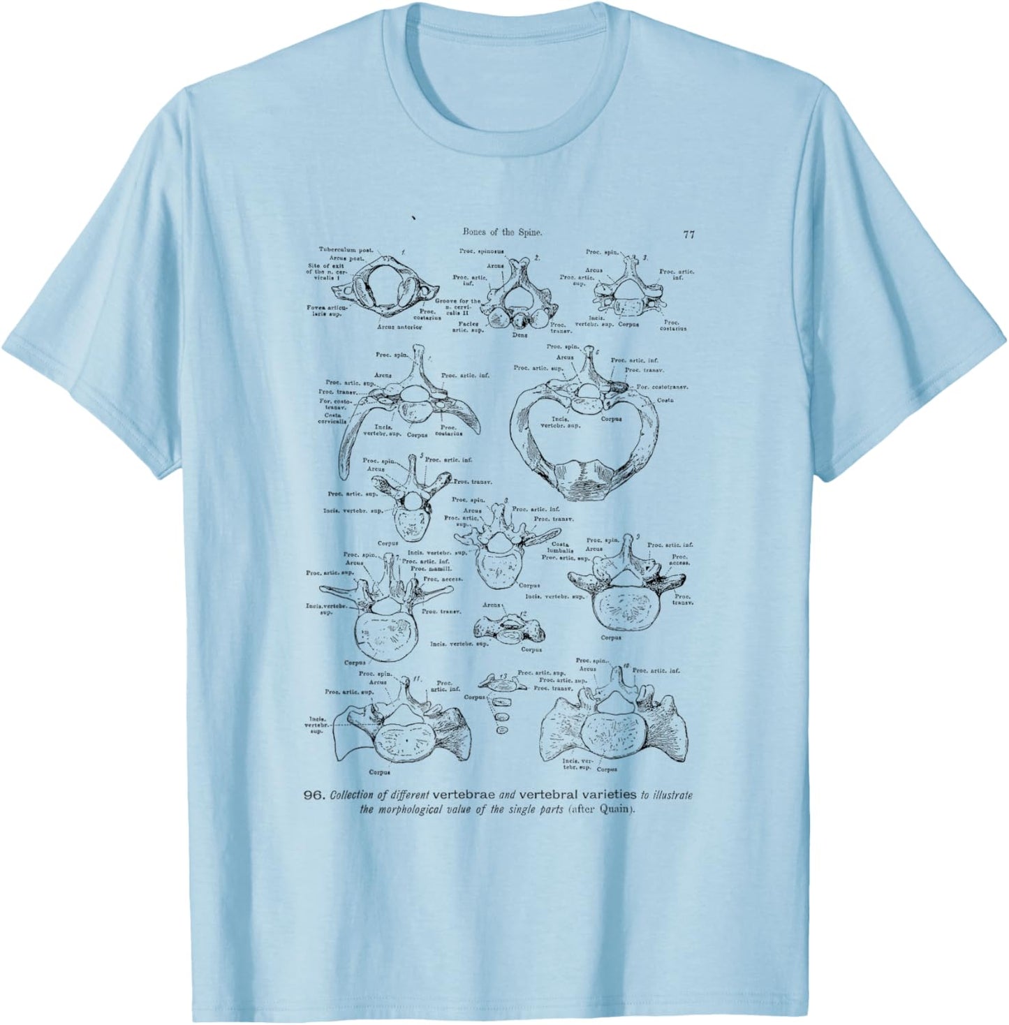 Human Spine Anatomy vintage bones of the spine for Physician T-Shirt - T-Shirt | Light Blue