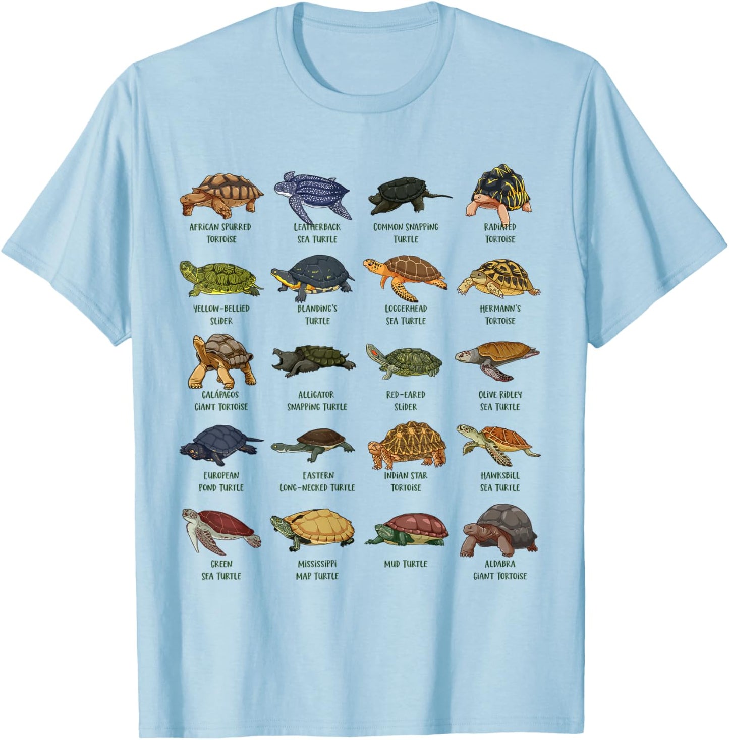 Tortoises and Turtles - Types of Turtles T-Shirt - T-Shirt | Light Blue
