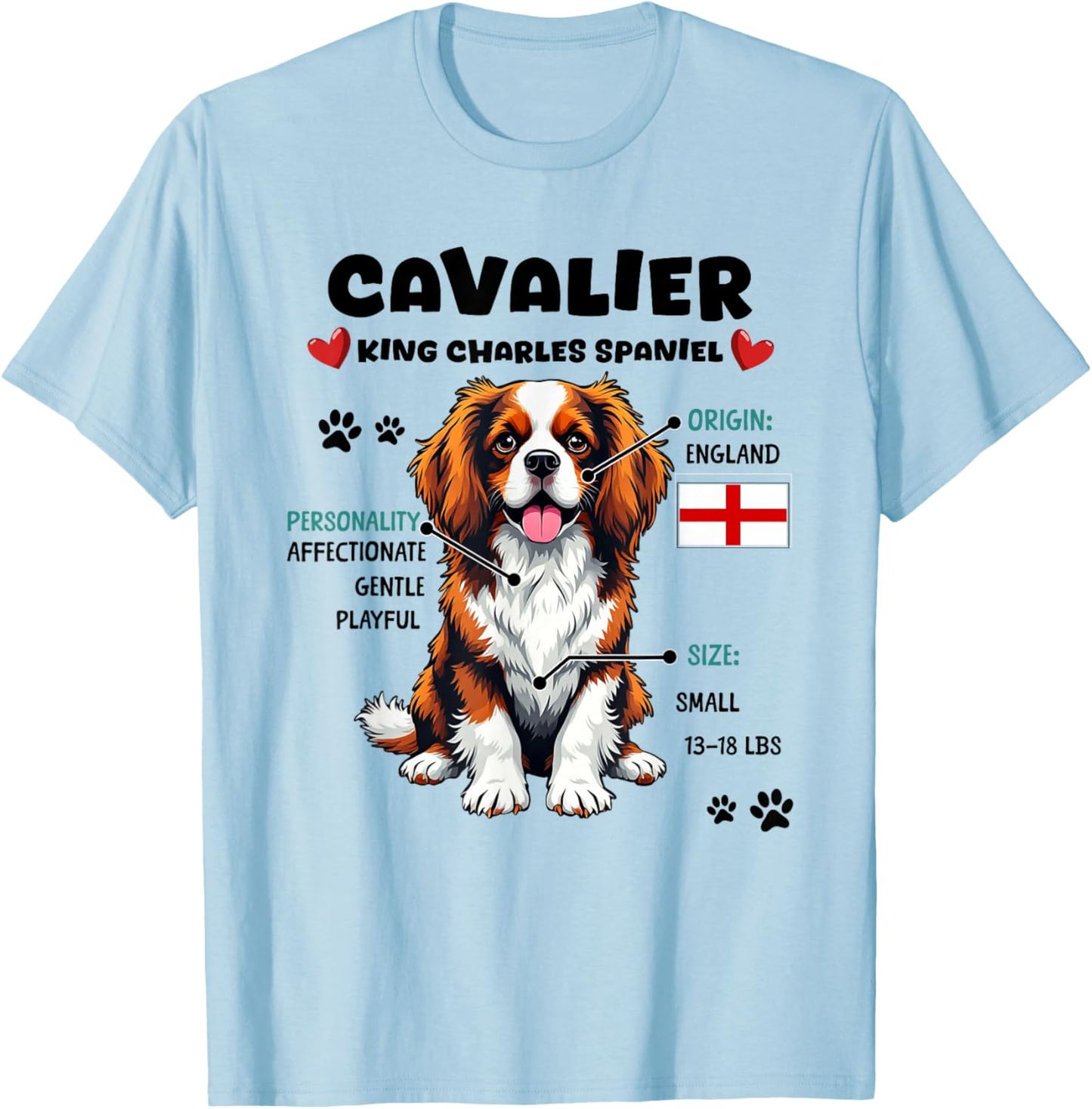 Cavalier King Charles Spaniel Owner Funny Dog Lover T-Shirt - T-Shirt | Light Blue