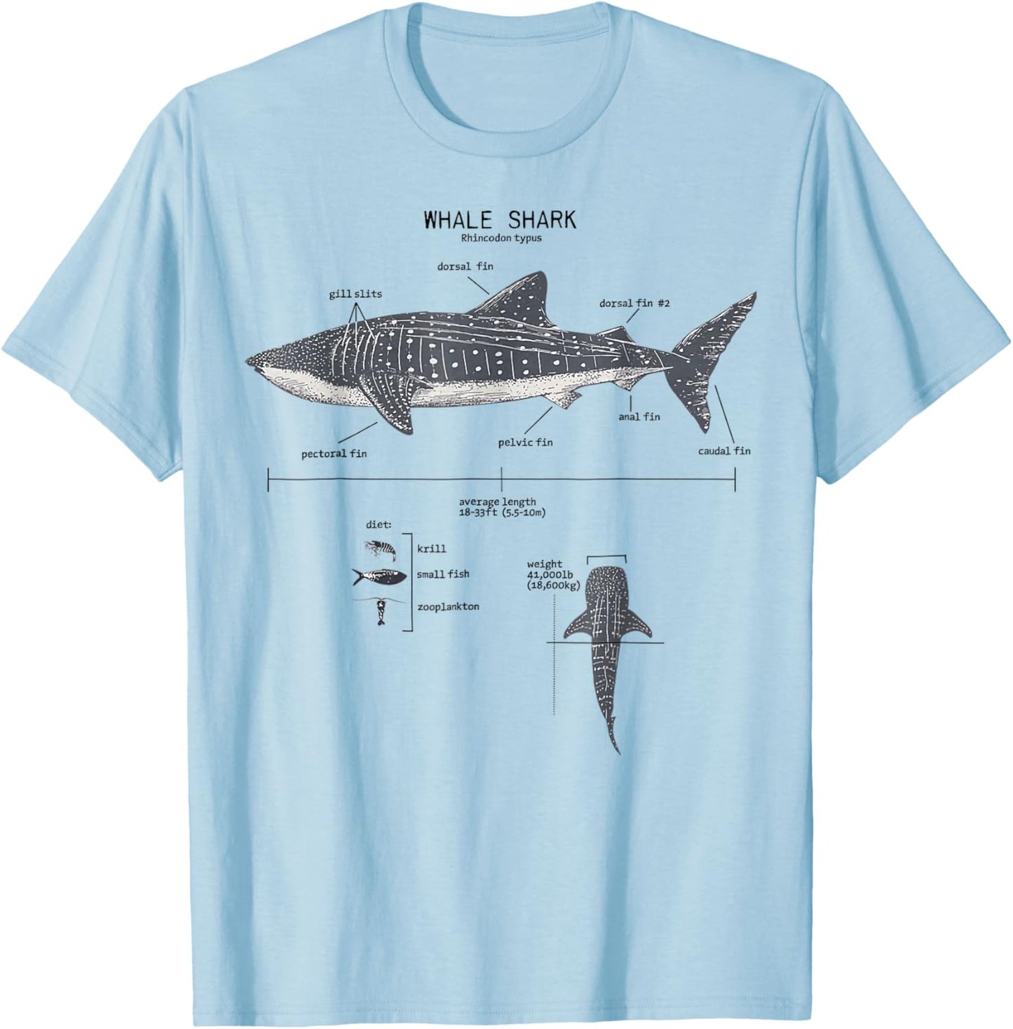 Whale Shark Anatomy Marine Biology T-Shirt - T-Shirt | Light Blue