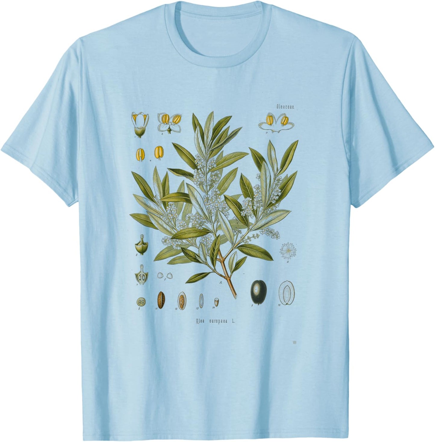 Vintage Botanical Garden Botany Olive tree T-Shirt - T-Shirt | Light Blue