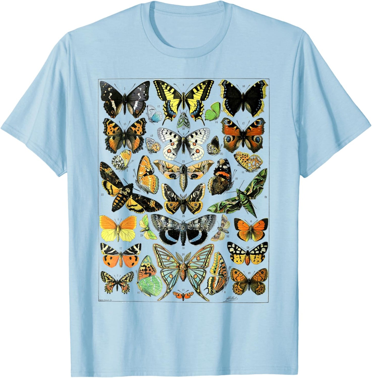 Butterflies Butterfly Collection Vintage Entomology T-Shirt - T-Shirt | Light Blue