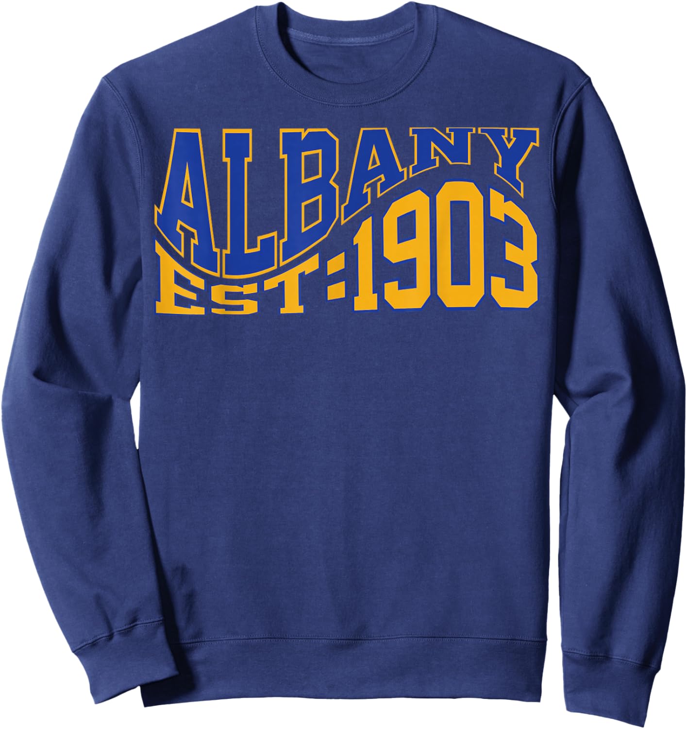 Retro Albany Wave Text City Vintage State Sweatshirt - Sweatshirt | Navy