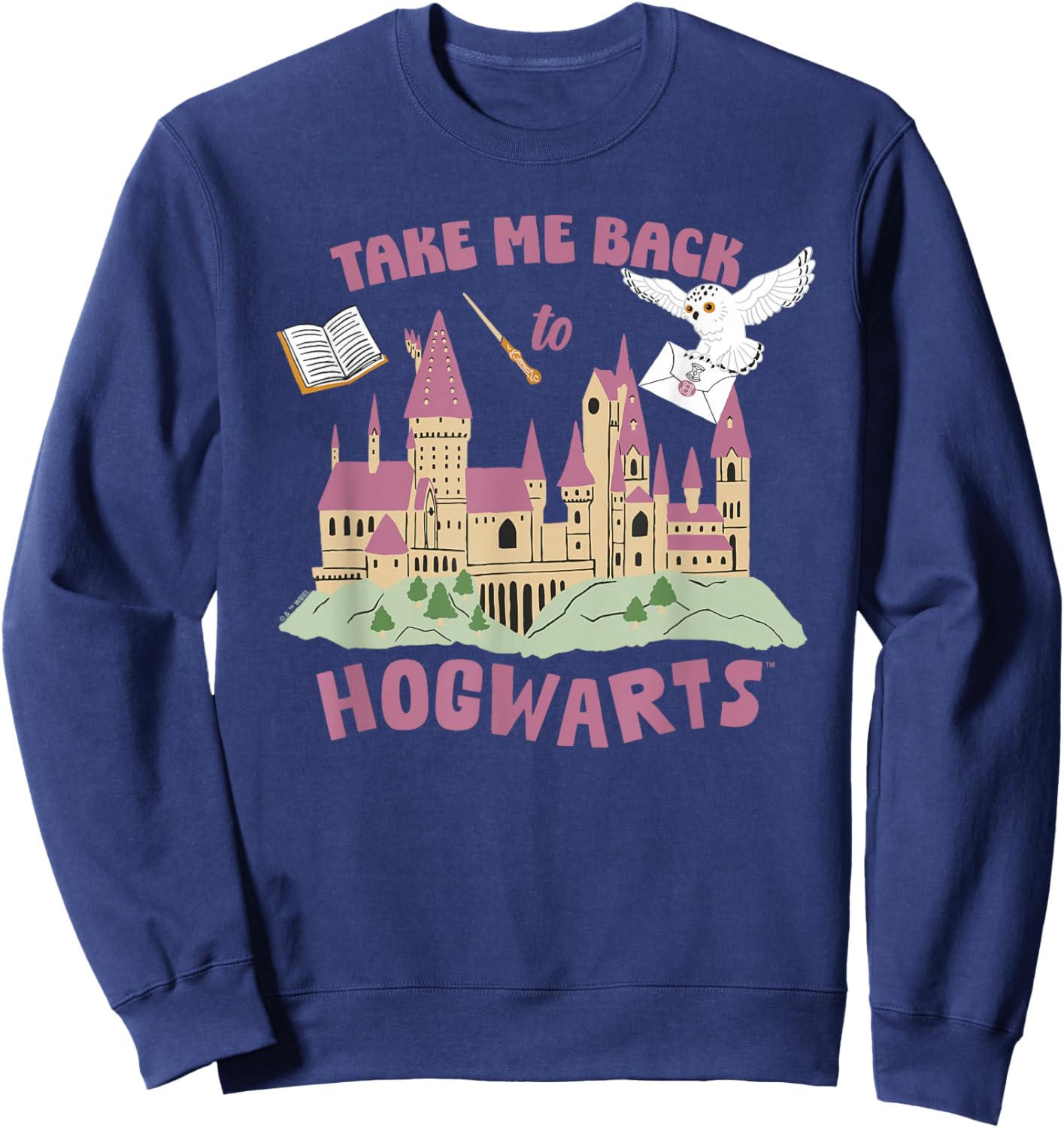 Harry Potter Take Me Back To Hogwarts Sweatshirt - Sweatshirt | Navy