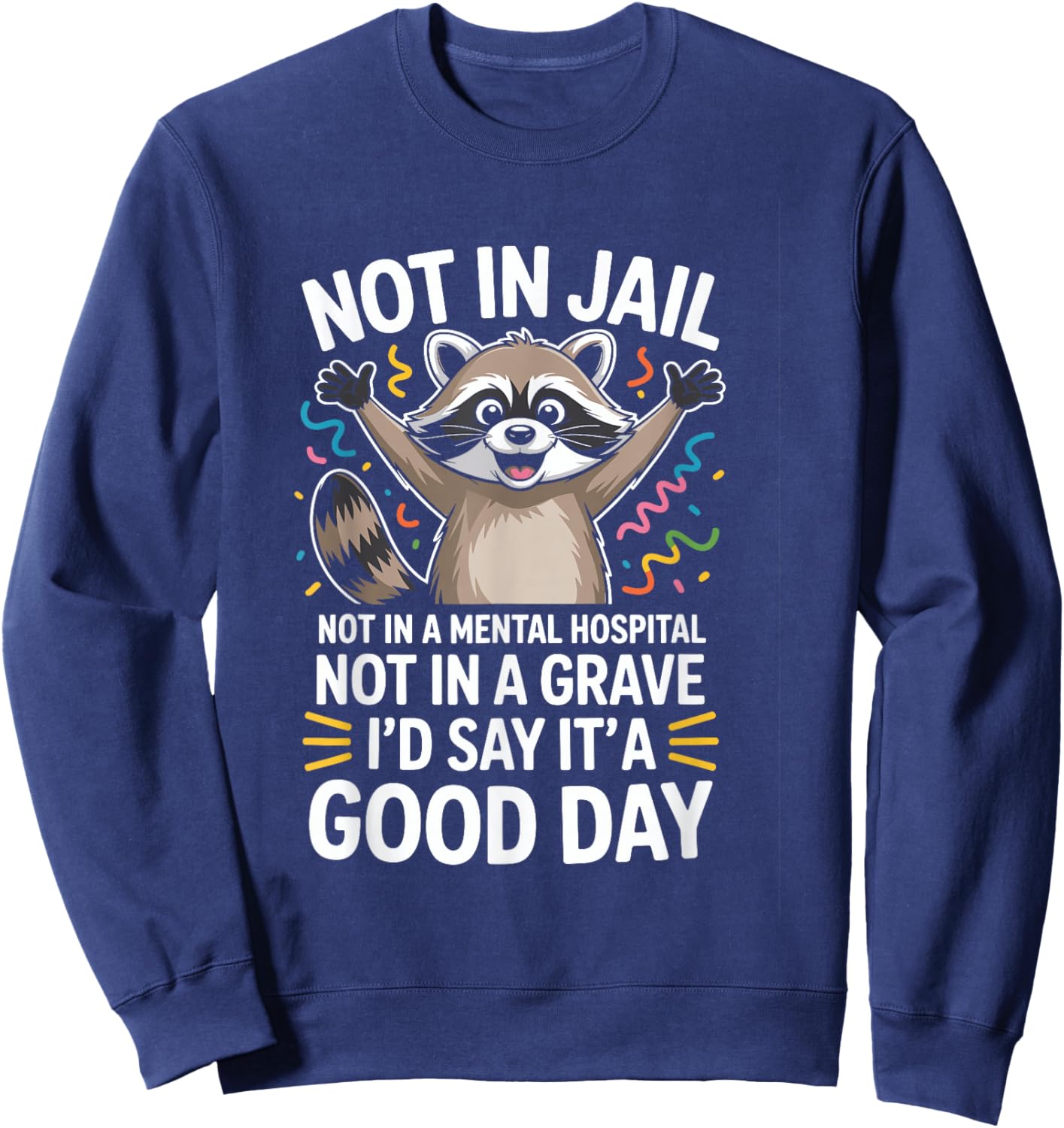 Not in Jail Not in A Mental Hospital Not in A Grave Funny Sweatshirt - Sweatshirt | Navy