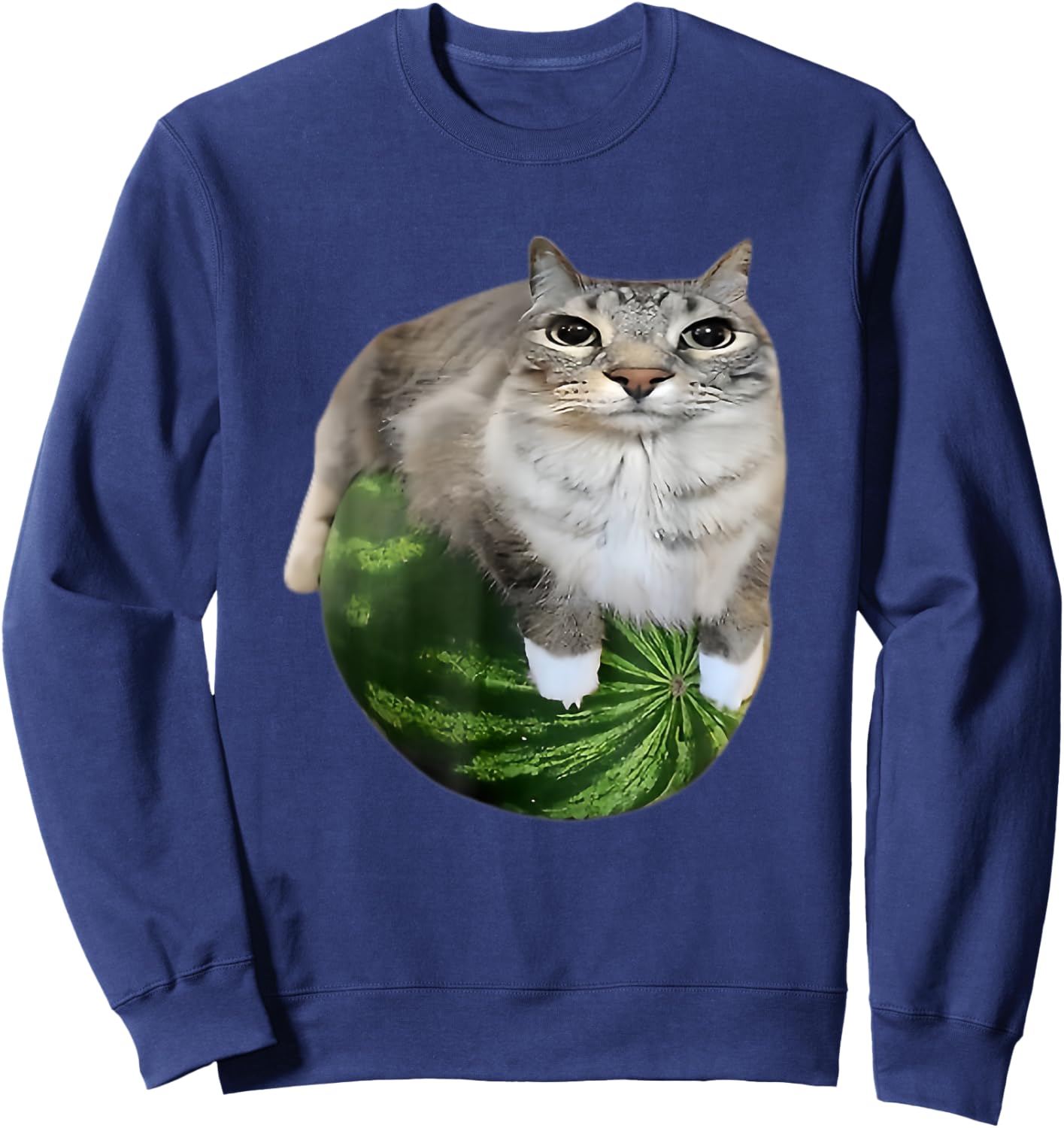 Funny Watermelon Cat Meme Sweatshirt - Sweatshirt | Navy