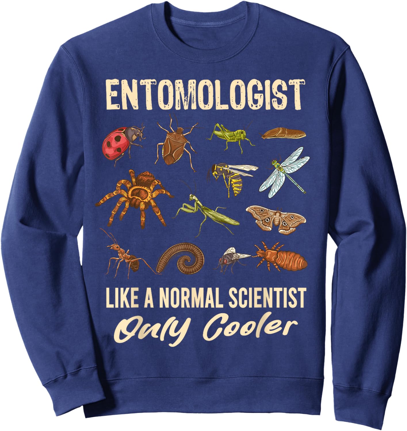 Entomologist Definition Funny Entomology Science Insect Sweatshirt - Sweatshirt | Navy