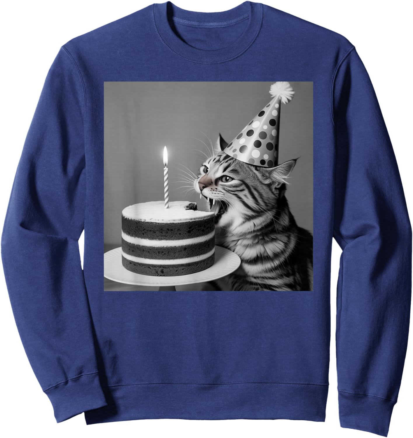 Birthday Cat Birthday Party Cake Sweatshirt - Sweatshirt | Navy